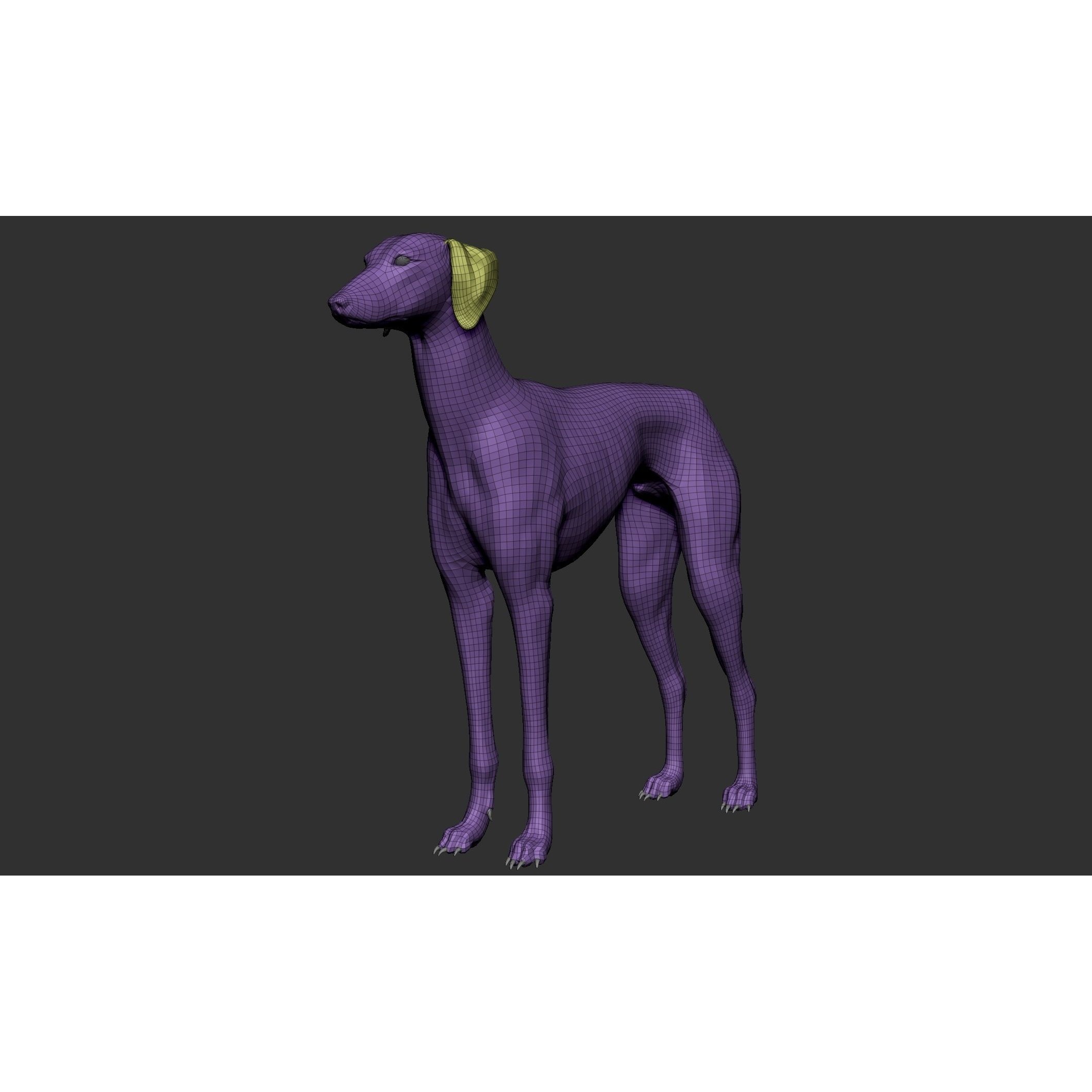 Domestic Animal Collection - Game-Ready 3D Model - View 95