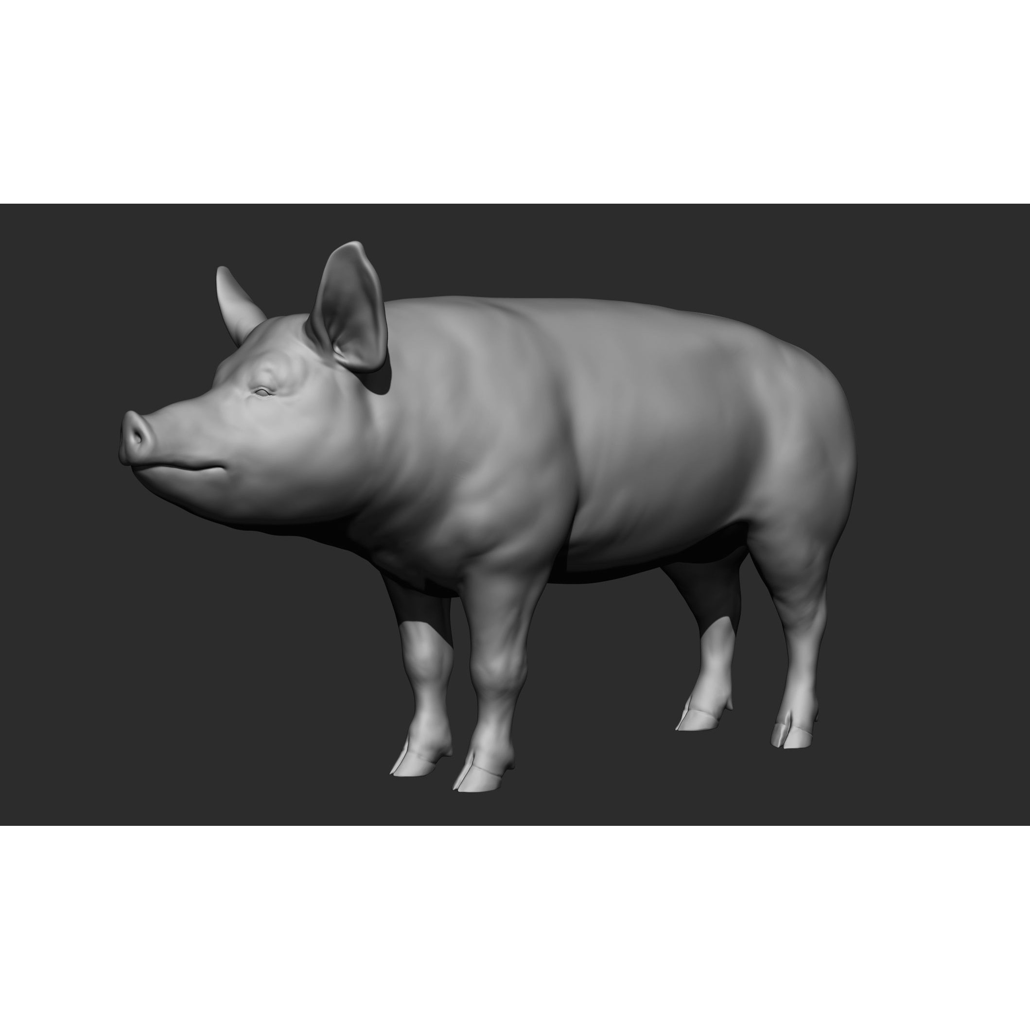Domestic Animal Collection - Game-Ready 3D Model - View 96