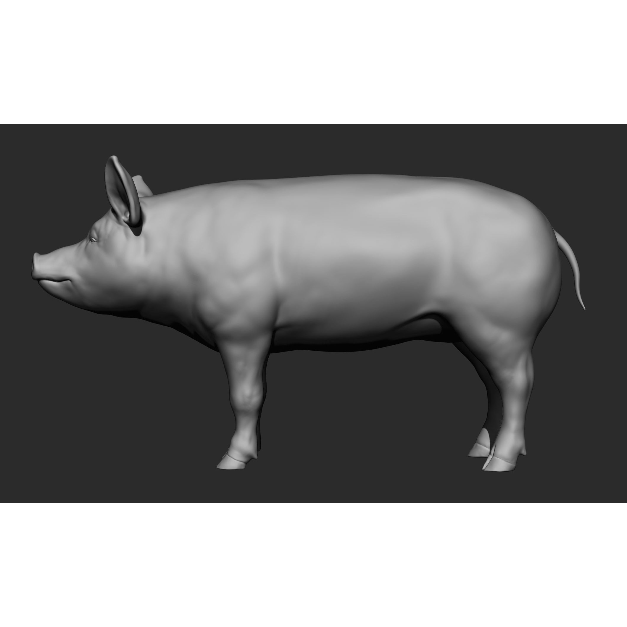 Domestic Animal Collection - Game-Ready 3D Model - View 97