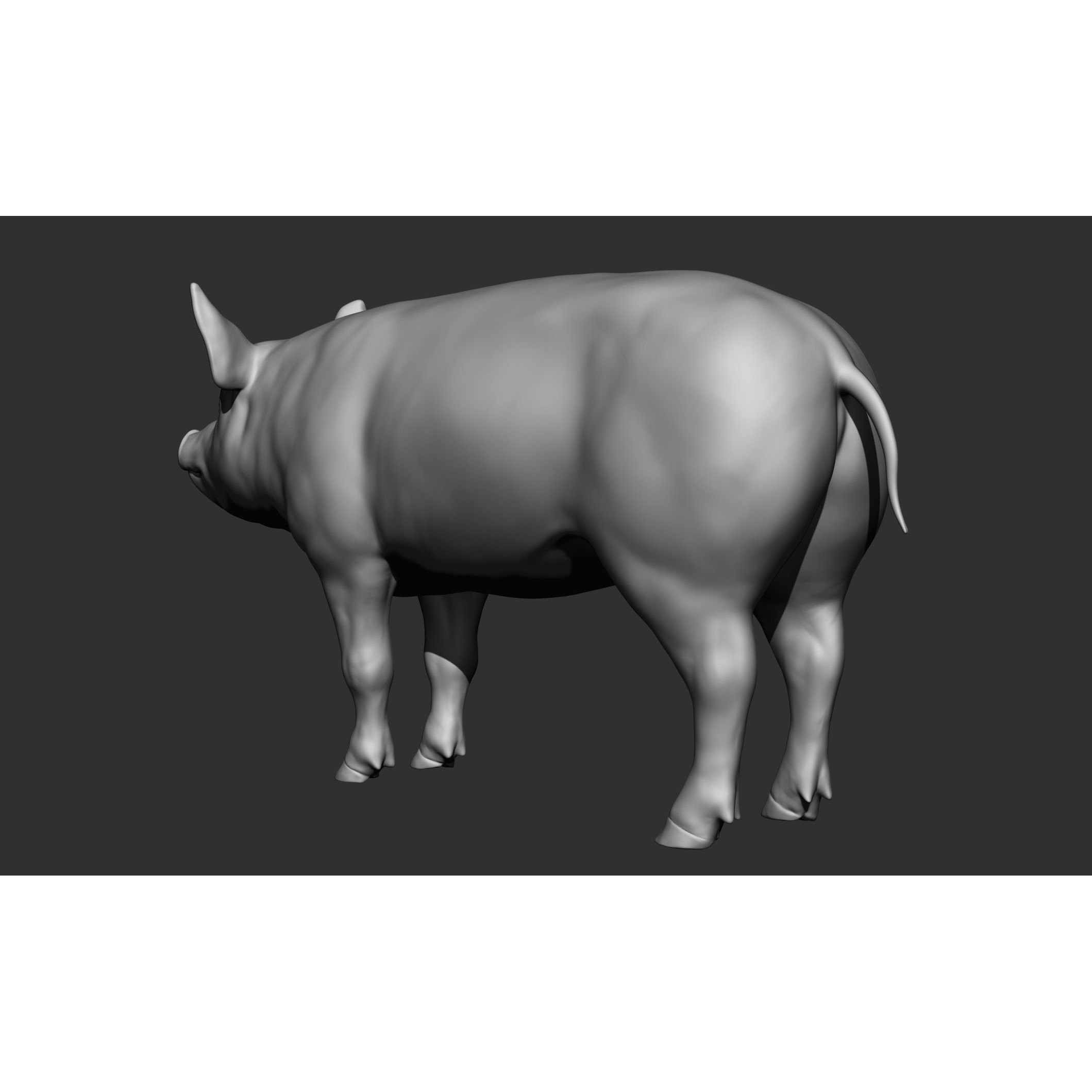 Domestic Animal Collection - Game-Ready 3D Model - View 98
