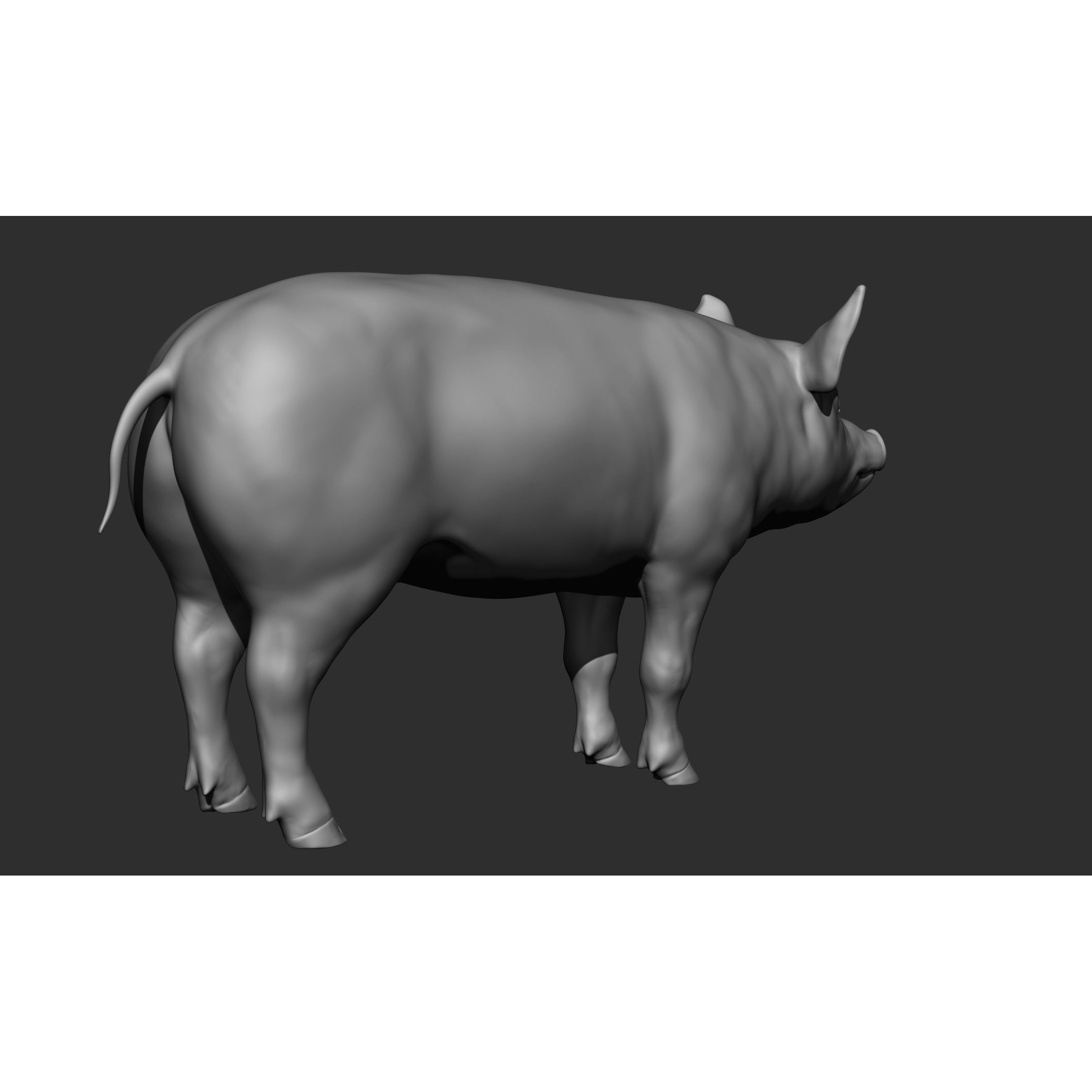 Domestic Animal Collection - Game-Ready 3D Model - View 99