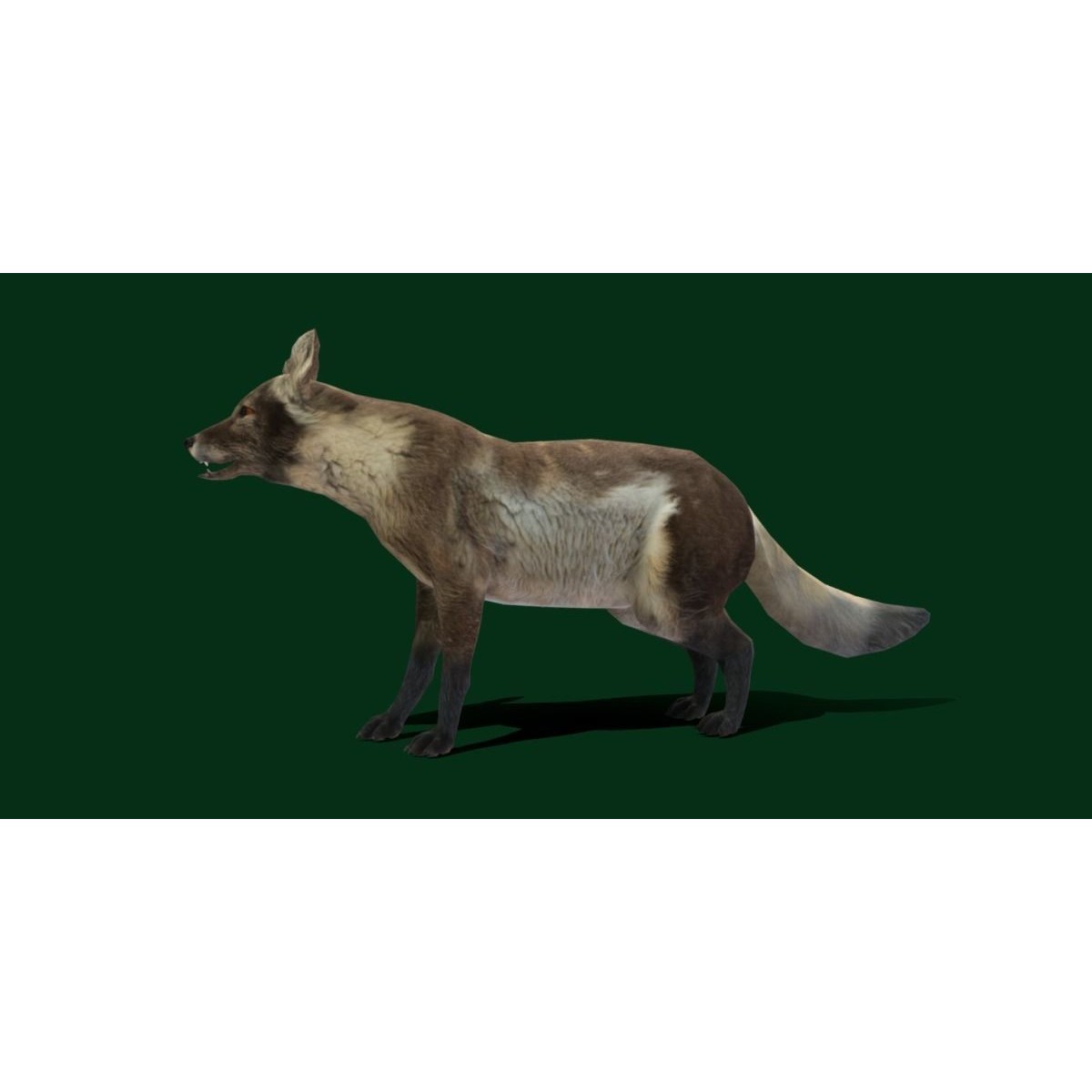 Arctic Polar Fox - Low-Poly Game-Ready 3D Model