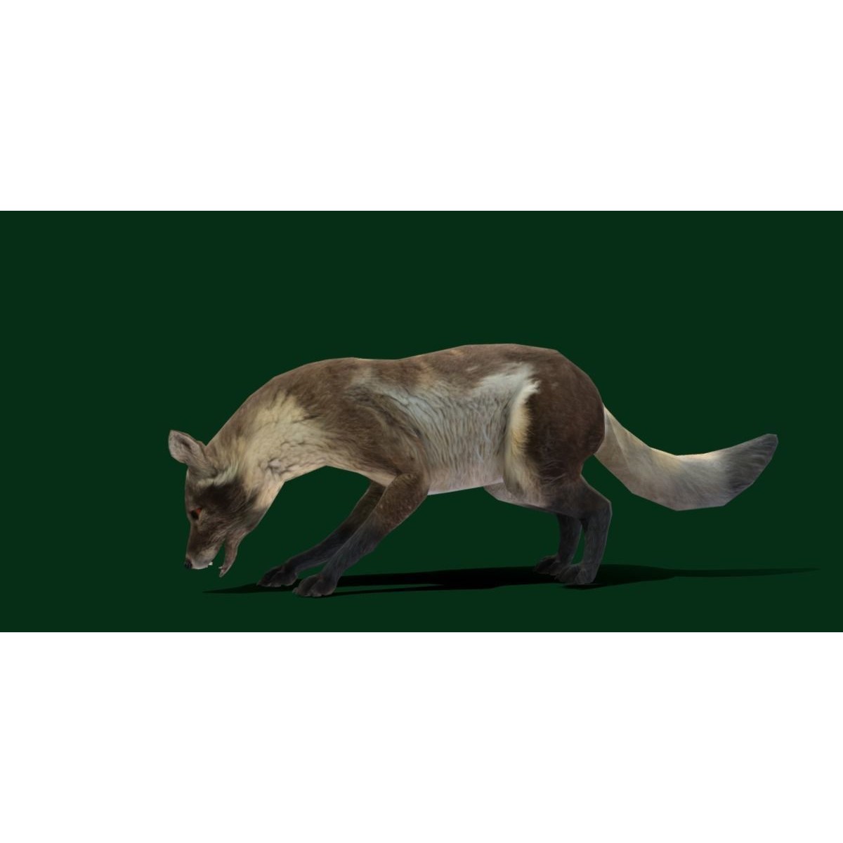 Arctic Polar Fox - Low-Poly Game-Ready 3D Model - View 10