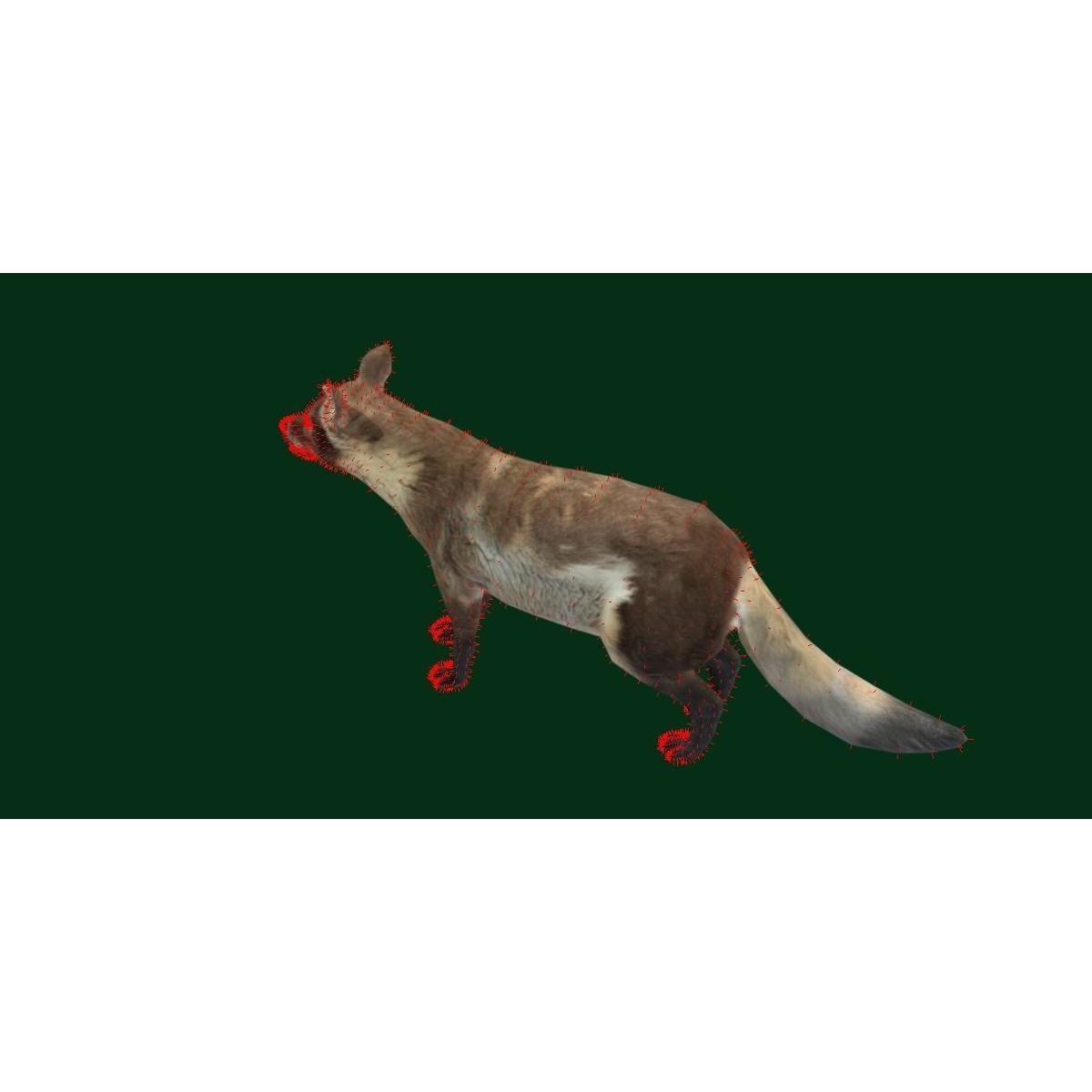 Arctic Polar Fox - Low-Poly Game-Ready 3D Model - View 14