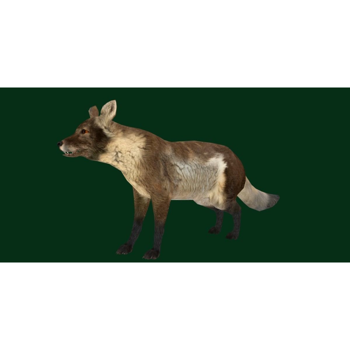 Arctic Polar Fox - Low-Poly Game-Ready 3D Model - View 17