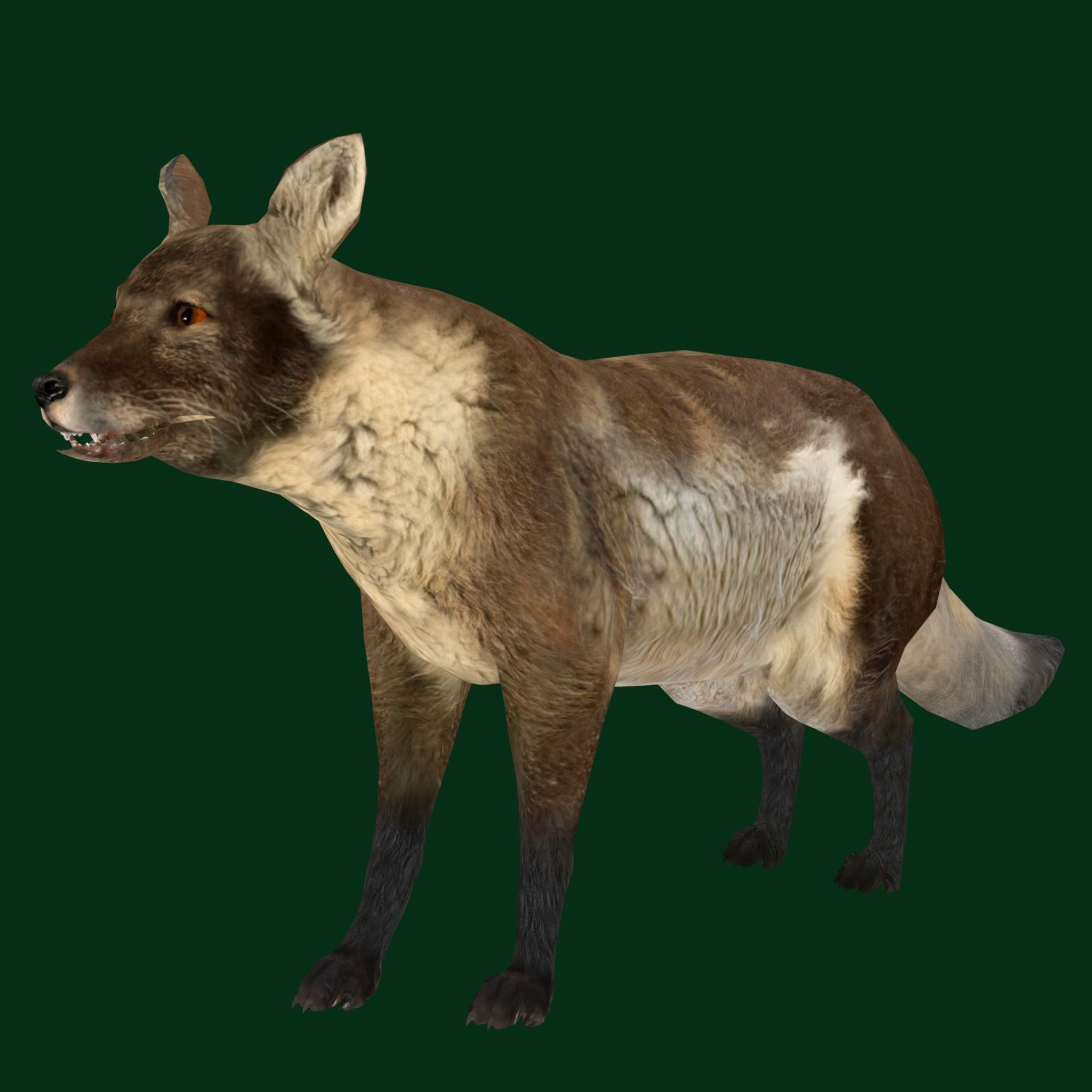 Arctic Polar Fox - Low-Poly Game-Ready 3D Model - View 18