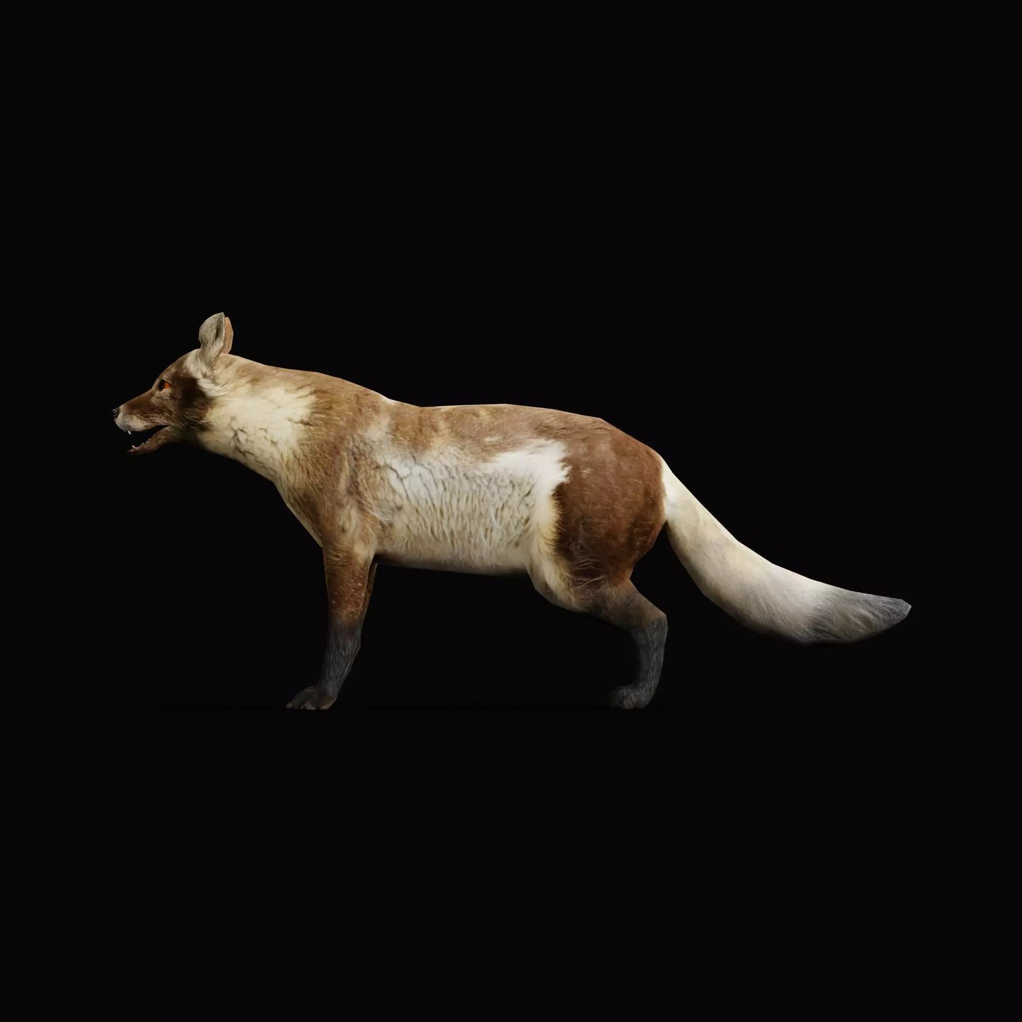 Arctic Polar Fox - Low-Poly Game-Ready 3D Model - View 2