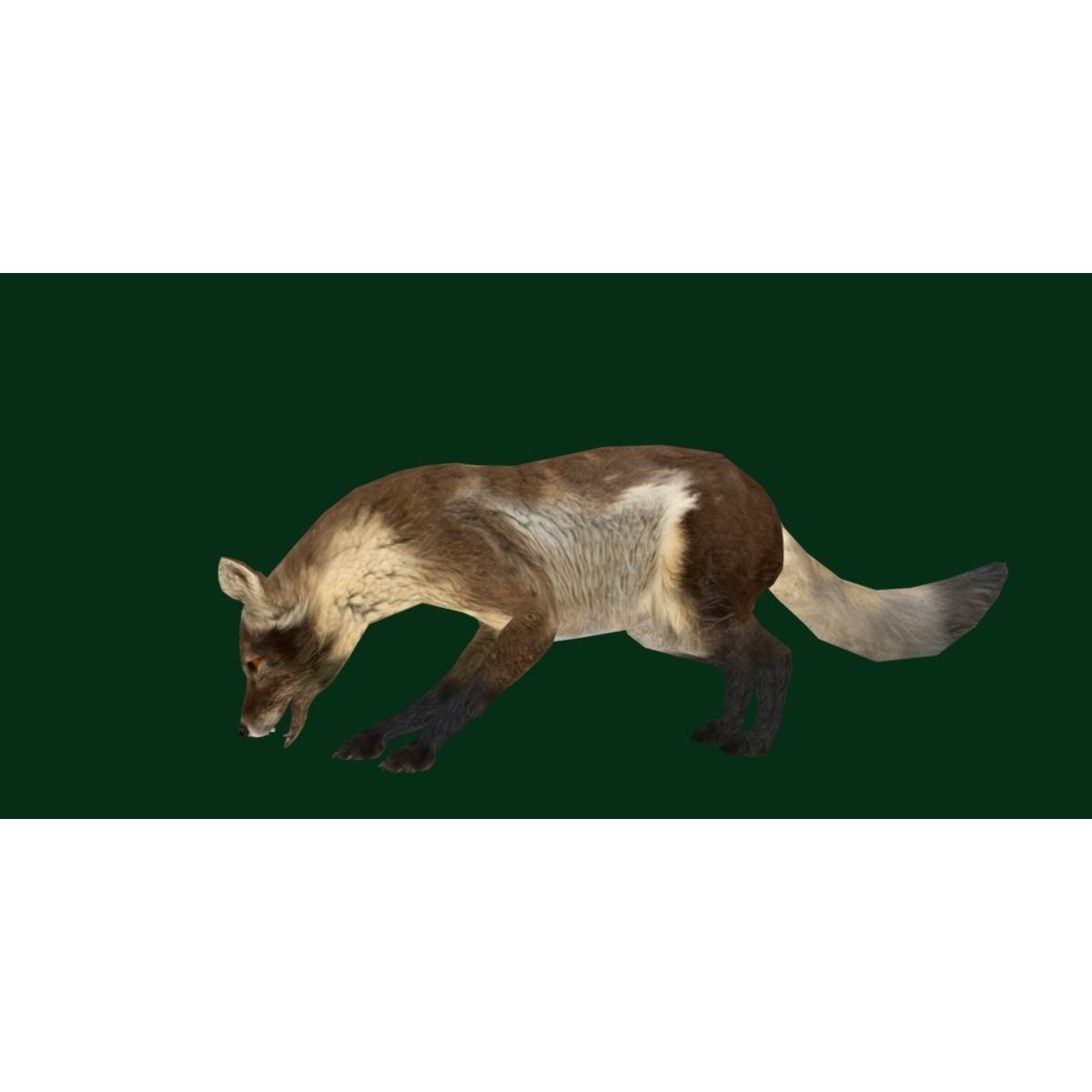 Arctic Polar Fox - Low-Poly Game-Ready 3D Model - View 21