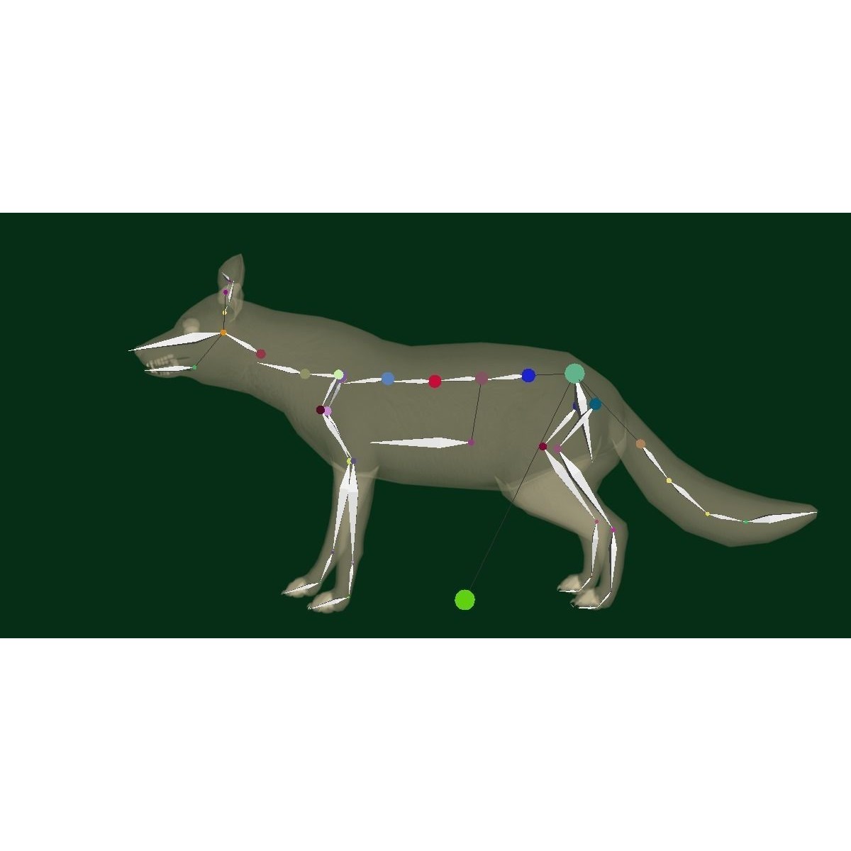 Arctic Polar Fox - Low-Poly Game-Ready 3D Model - View 23