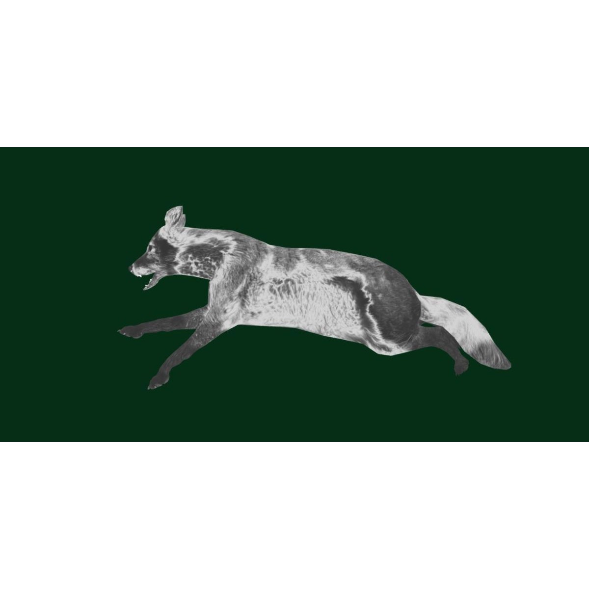 Arctic Polar Fox - Low-Poly Game-Ready 3D Model - View 27