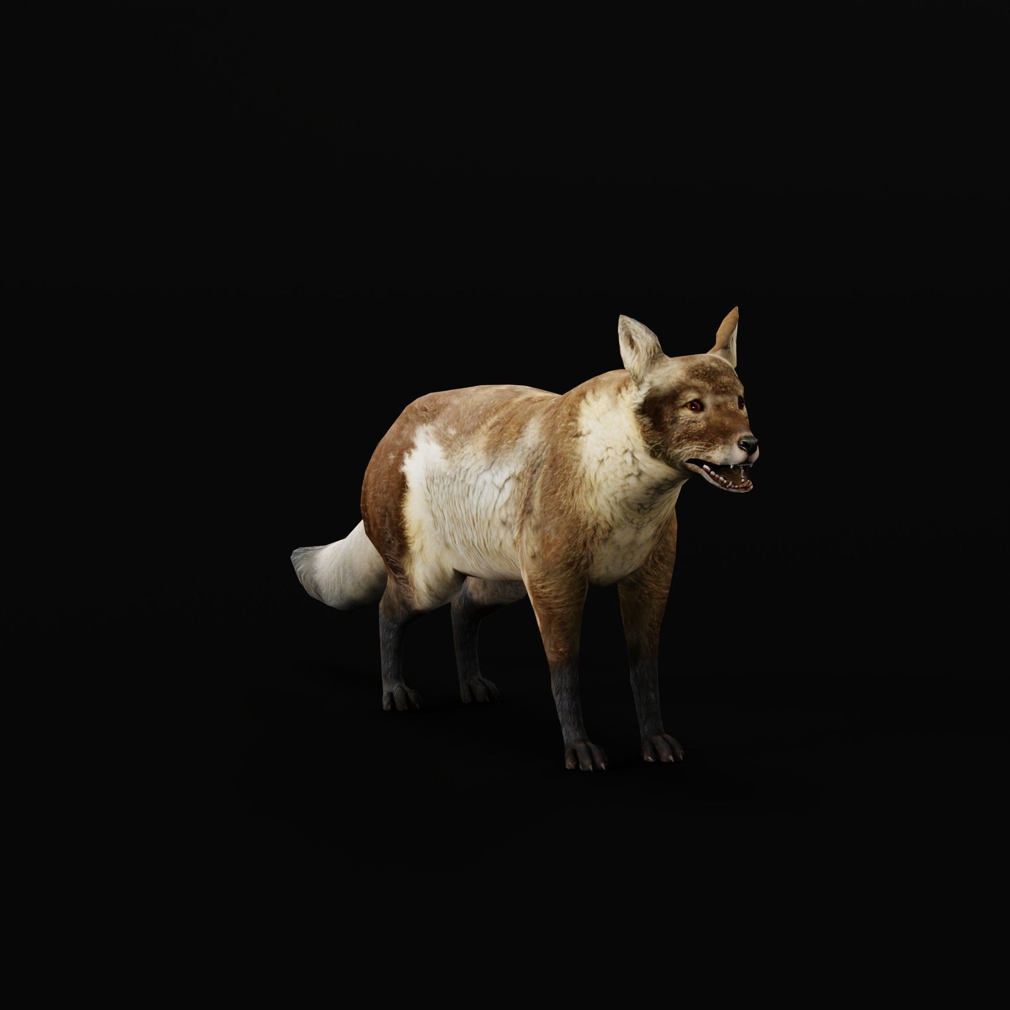 Arctic Polar Fox - Low-Poly Game-Ready 3D Model - View 4