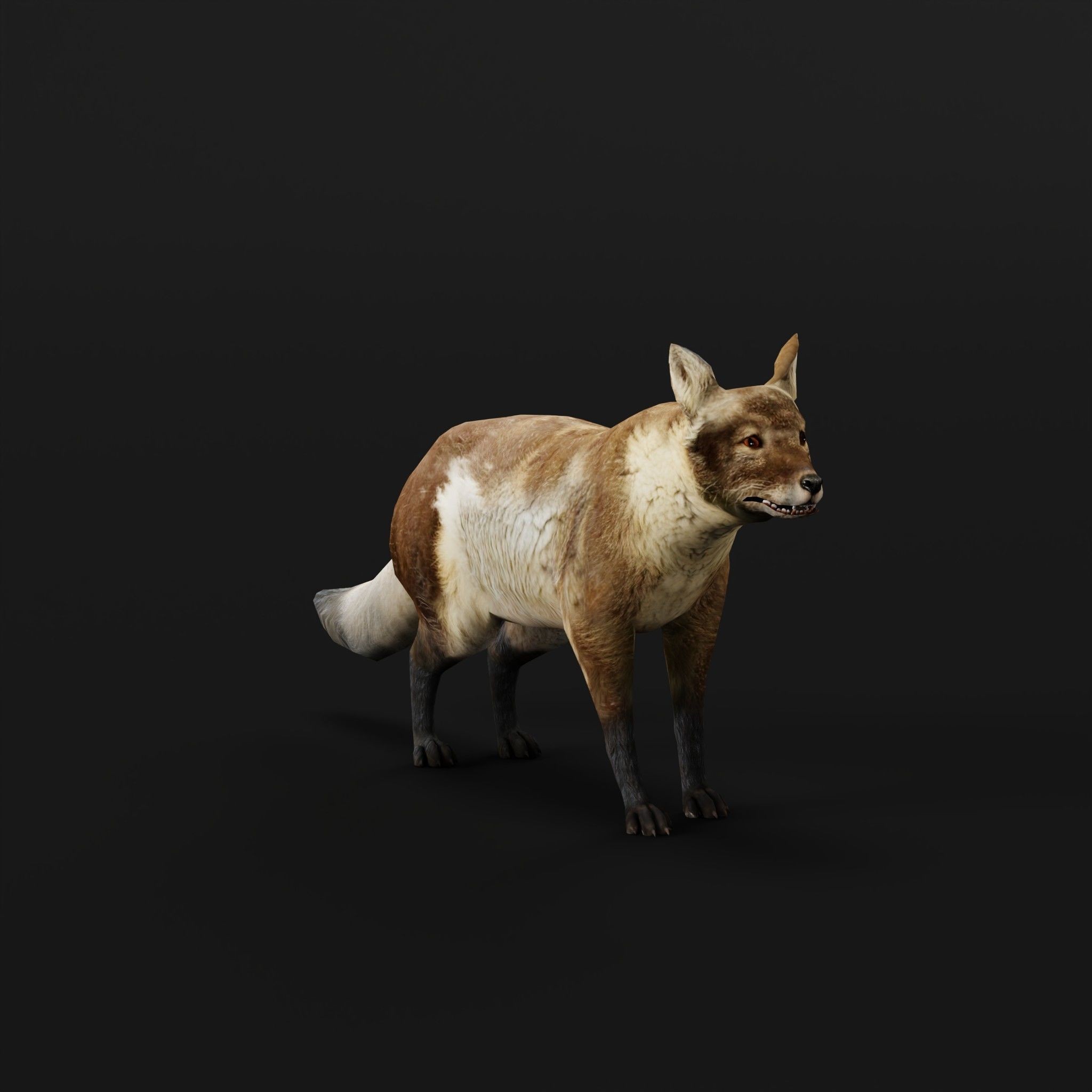 Arctic Polar Fox - Low-Poly Game-Ready 3D Model - View 7