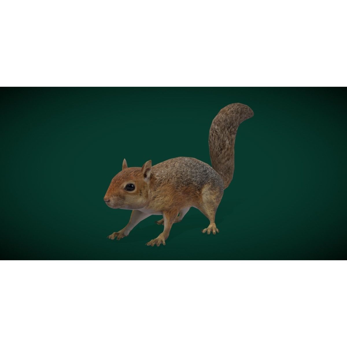 Fox Squirrel - Low-Poly Game-Ready 3D Model - View 21