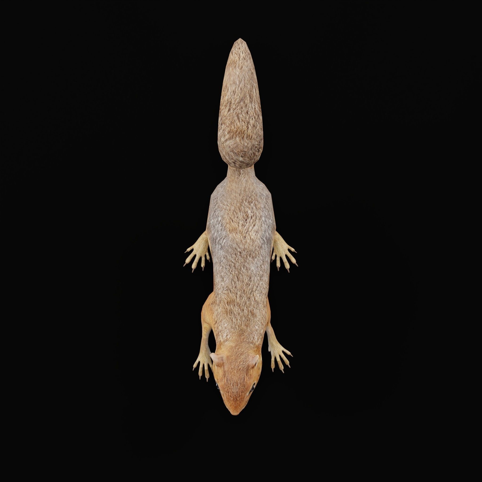 Fox Squirrel - Low-Poly Game-Ready 3D Model - View 24