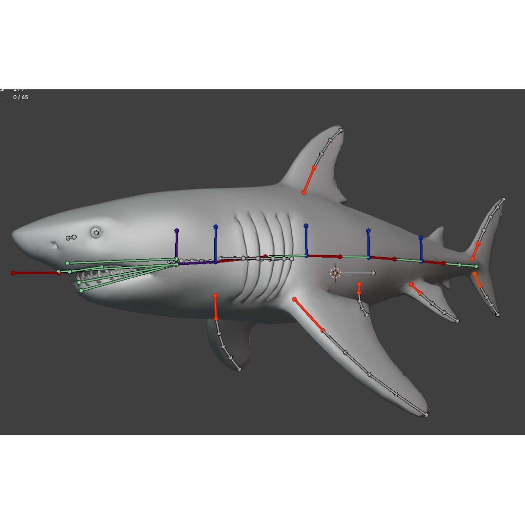 Megalodon - Low-Poly Game-Ready 3D Model