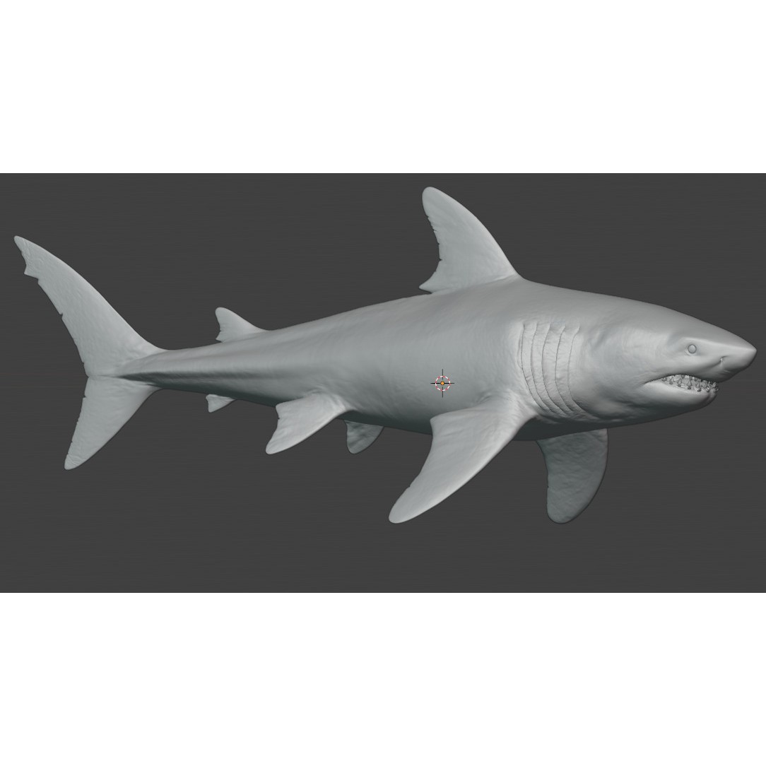 Megalodon - Low-Poly Game-Ready 3D Model - View 16