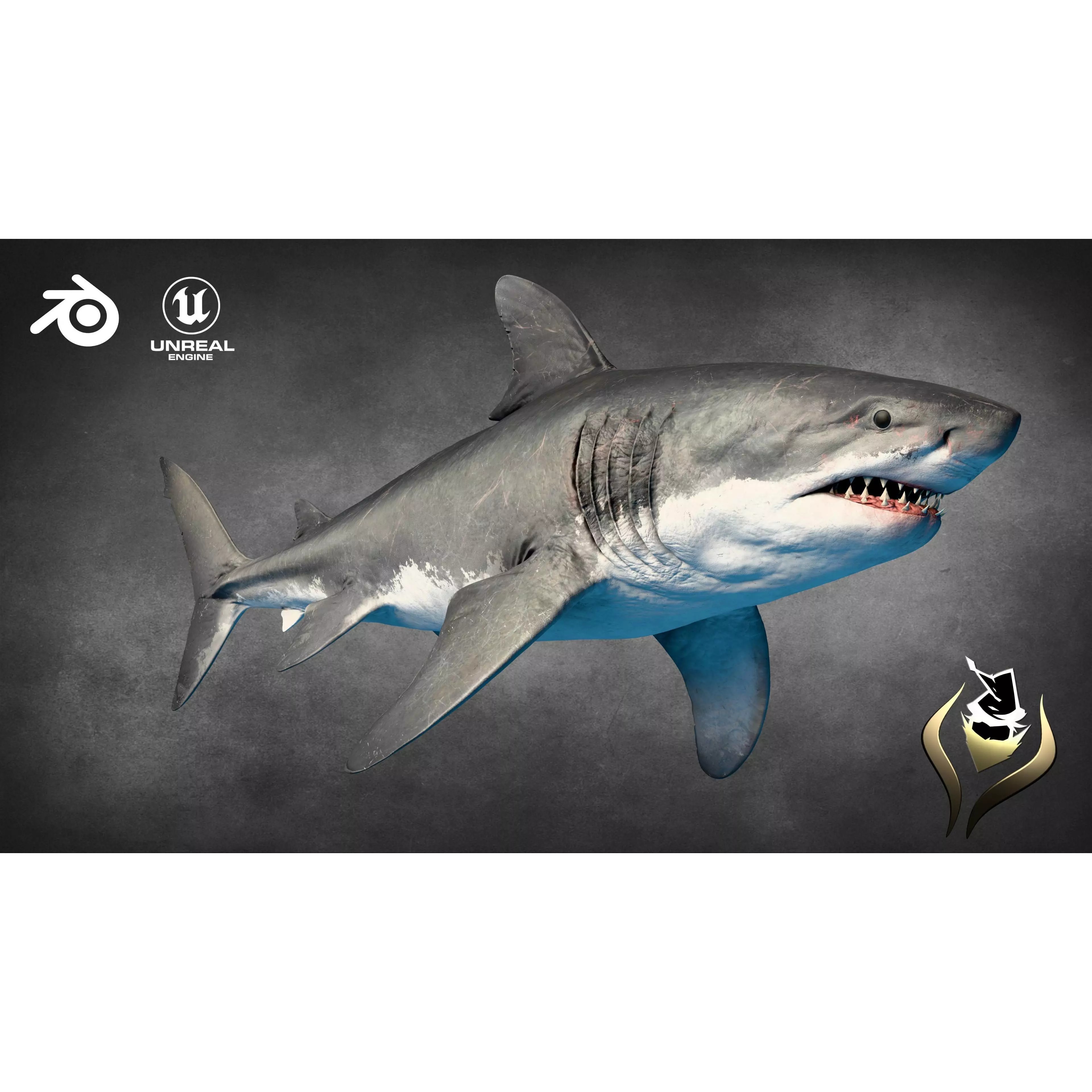 Megalodon - Low-Poly Game-Ready 3D Model - View 2