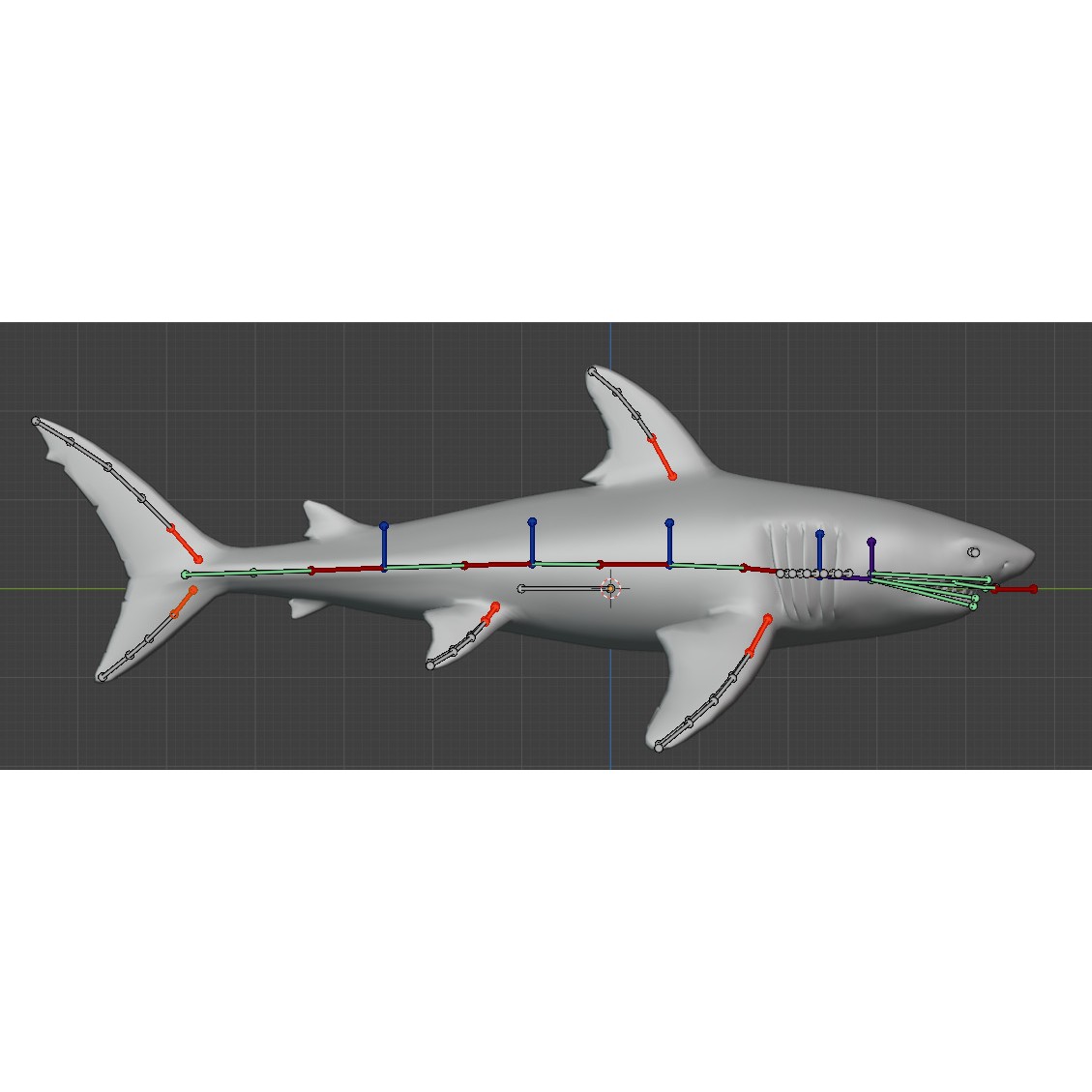 Megalodon - Low-Poly Game-Ready 3D Model - View 21