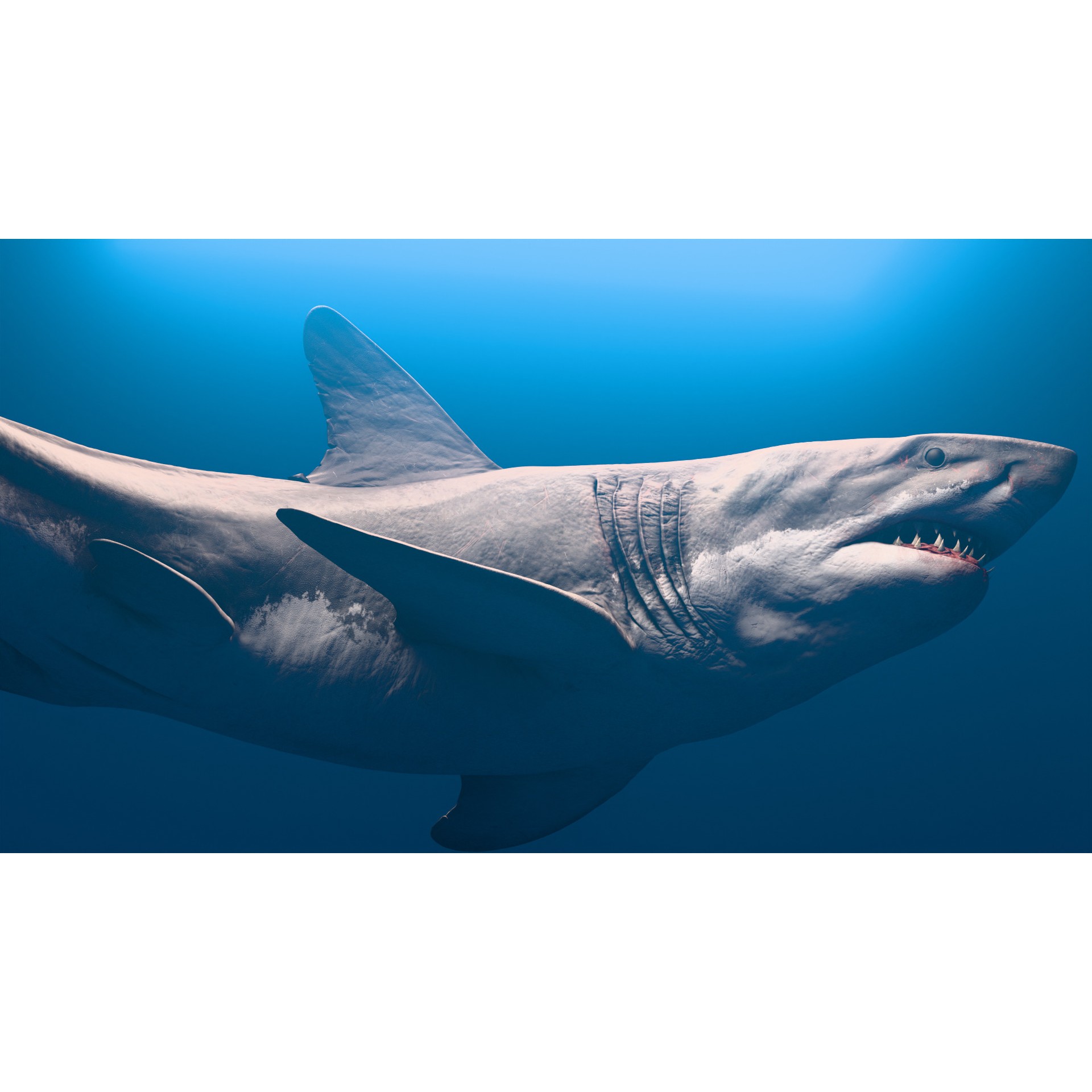 Megalodon - Low-Poly Game-Ready 3D Model - View 4
