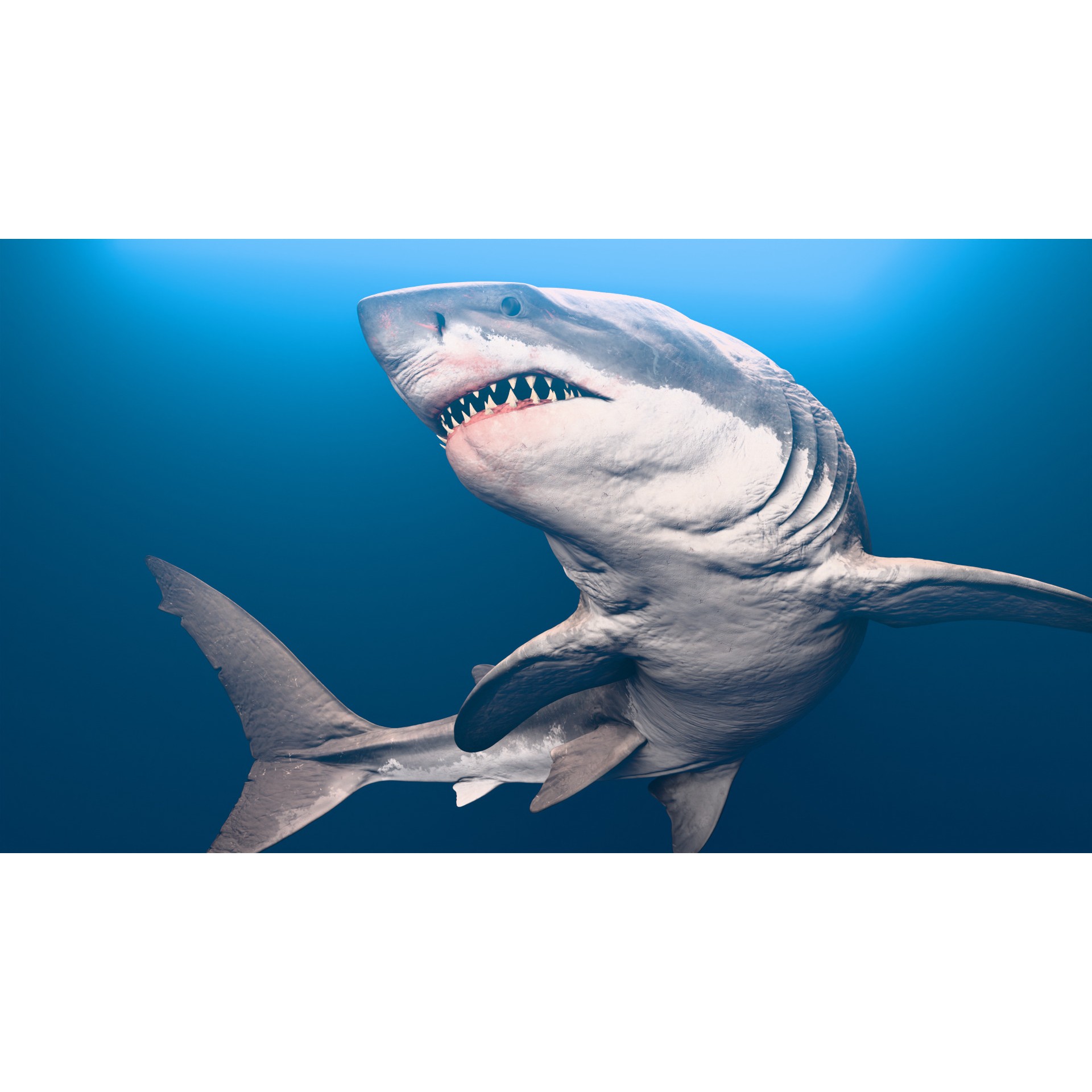 Megalodon - Low-Poly Game-Ready 3D Model - View 5