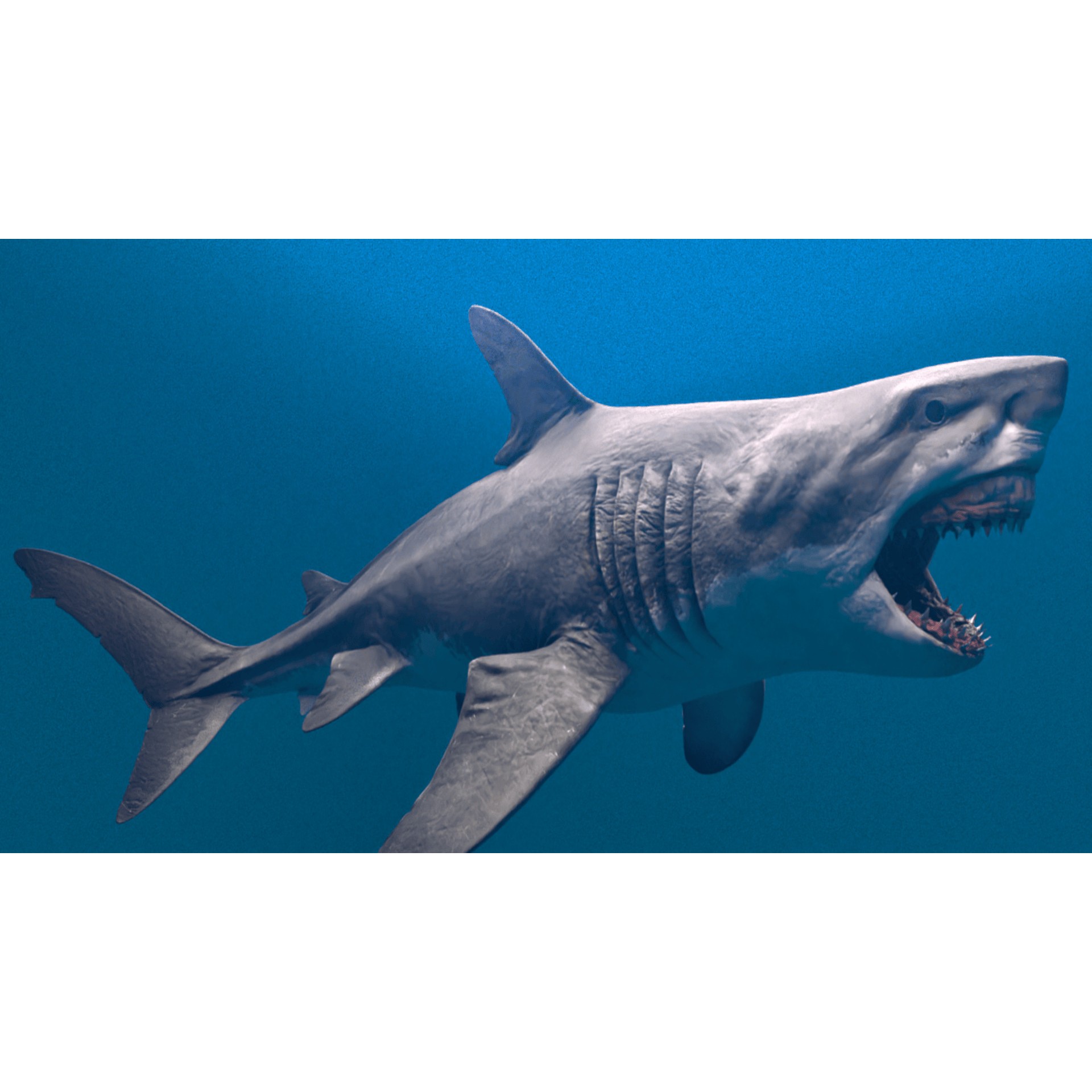 Megalodon - Low-Poly Game-Ready 3D Model - View 9