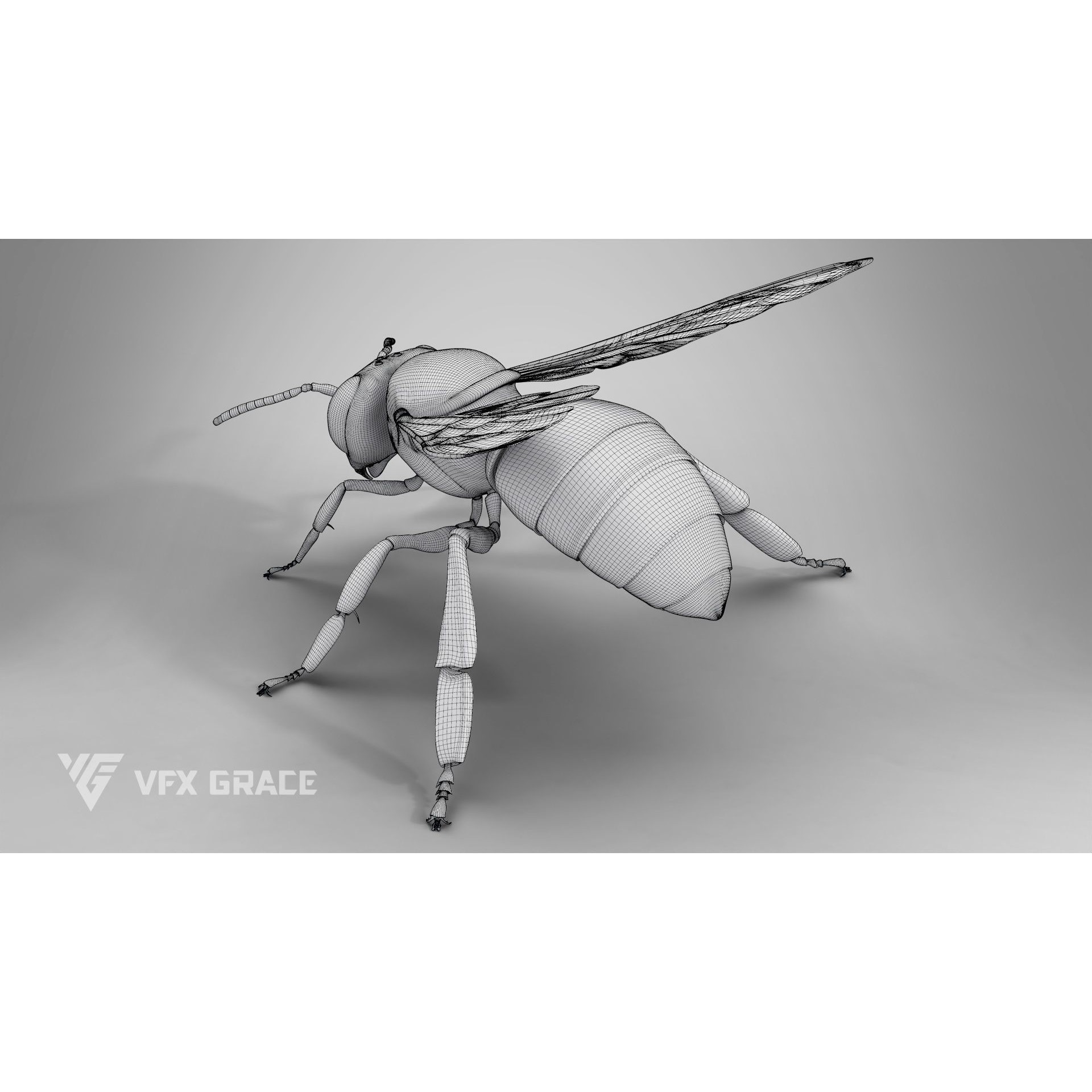 Honey Bee - Rigged Game-Ready 3D Model