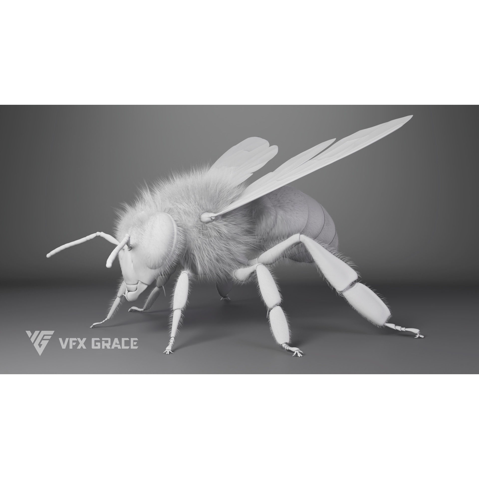 Honey Bee - Rigged Game-Ready 3D Model - View 14