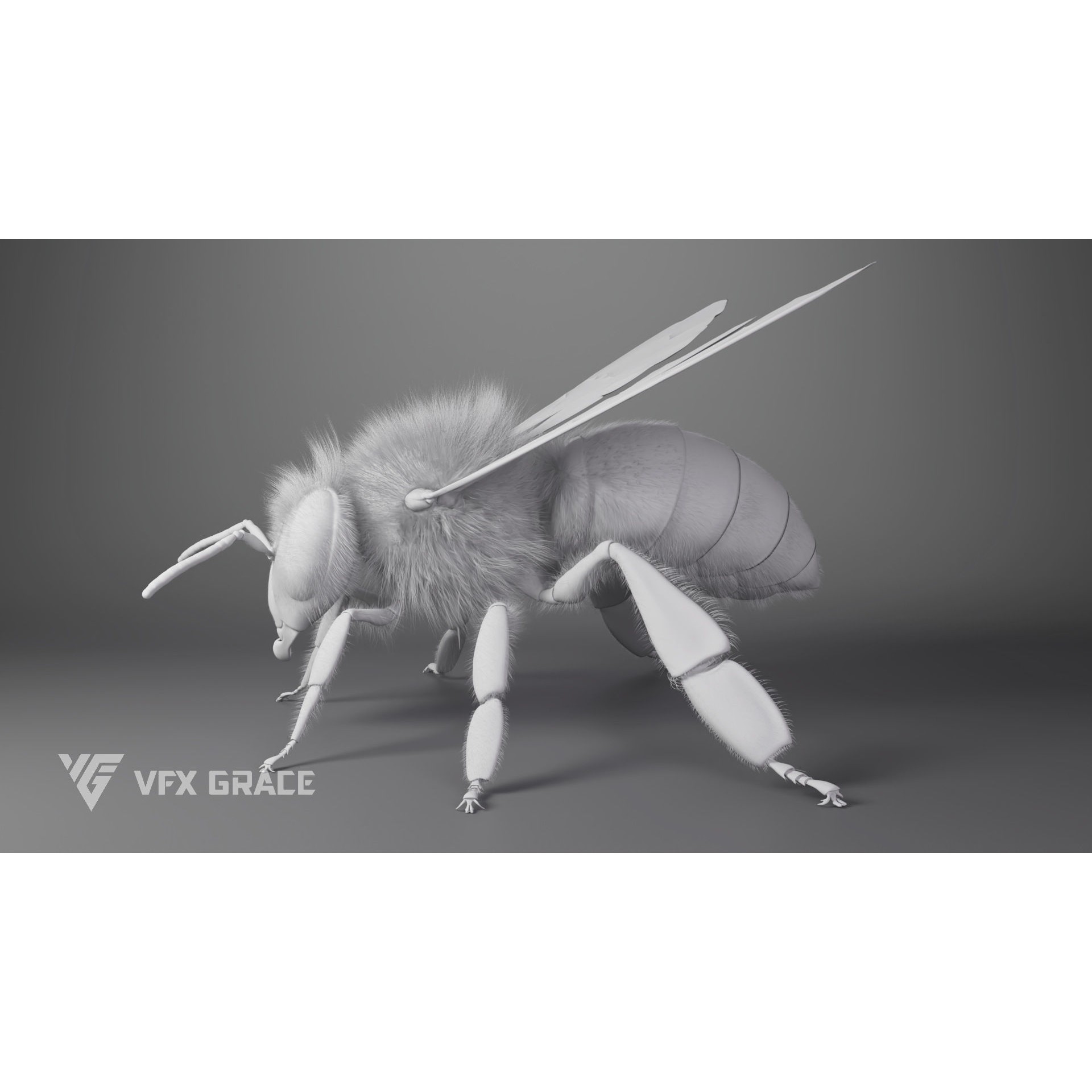Honey Bee - Rigged Game-Ready 3D Model - View 15