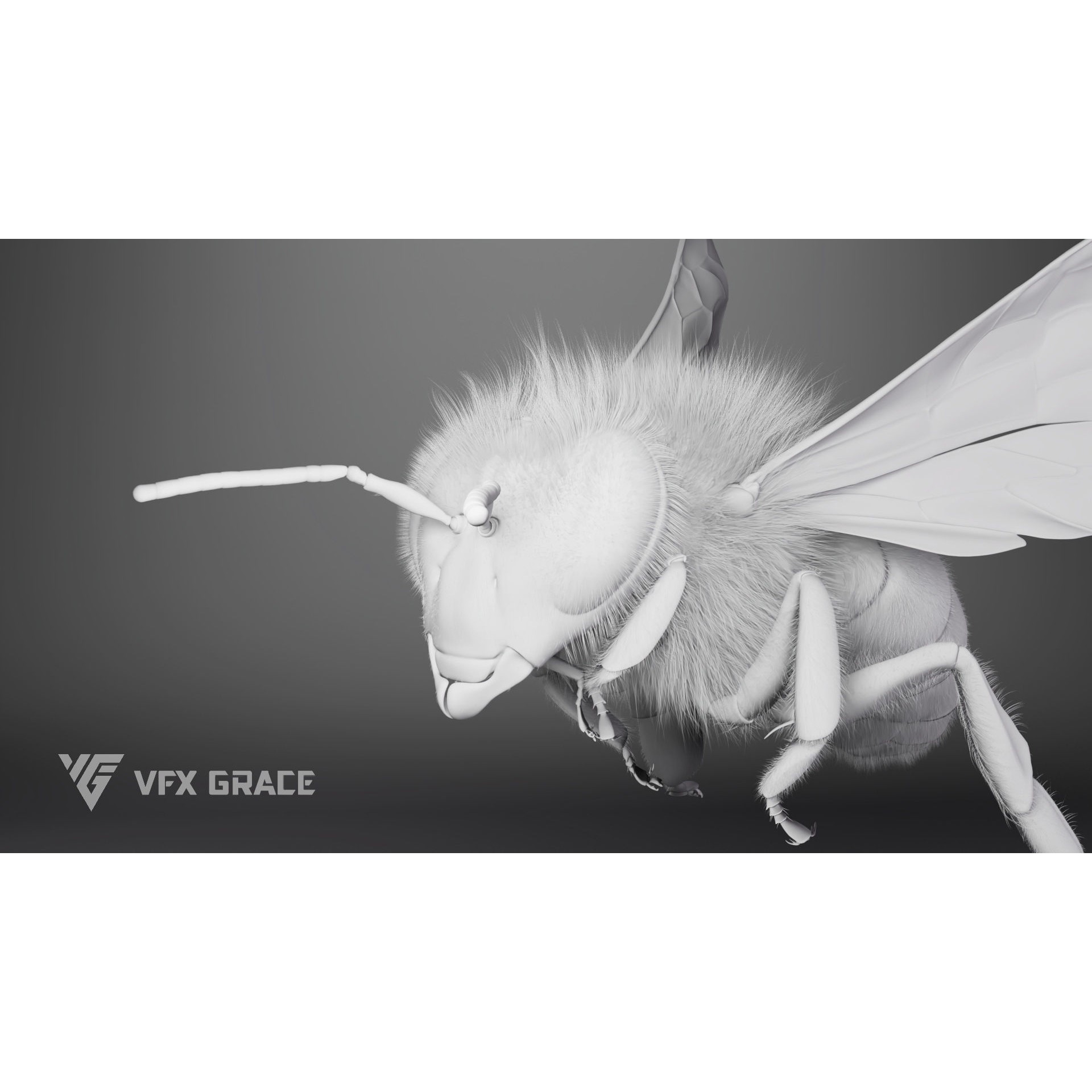 Honey Bee - Rigged Game-Ready 3D Model - View 16