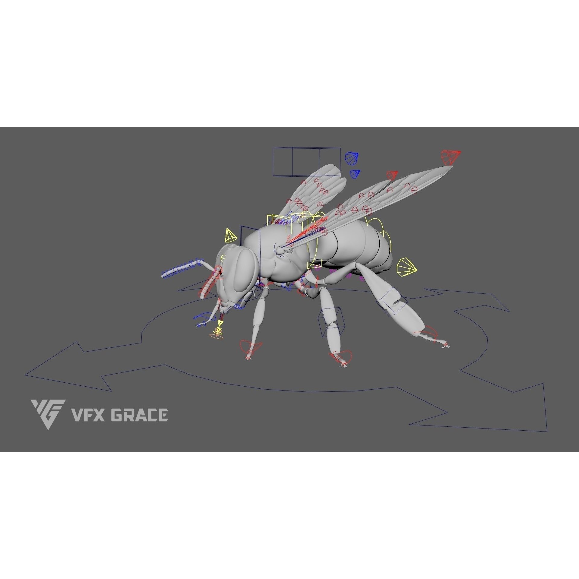 Honey Bee - Rigged Game-Ready 3D Model - View 17