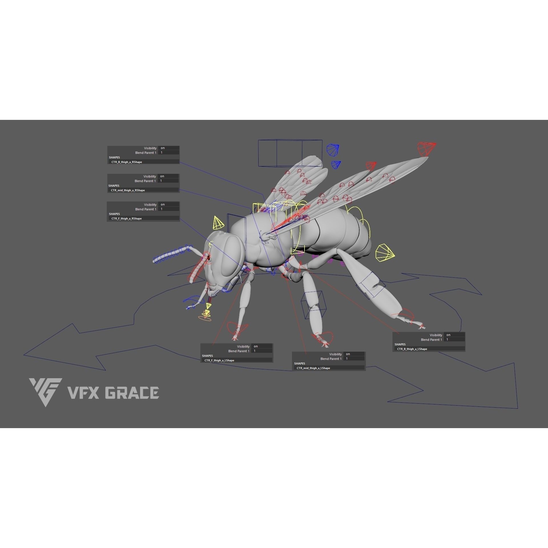 Honey Bee - Rigged Game-Ready 3D Model - View 18