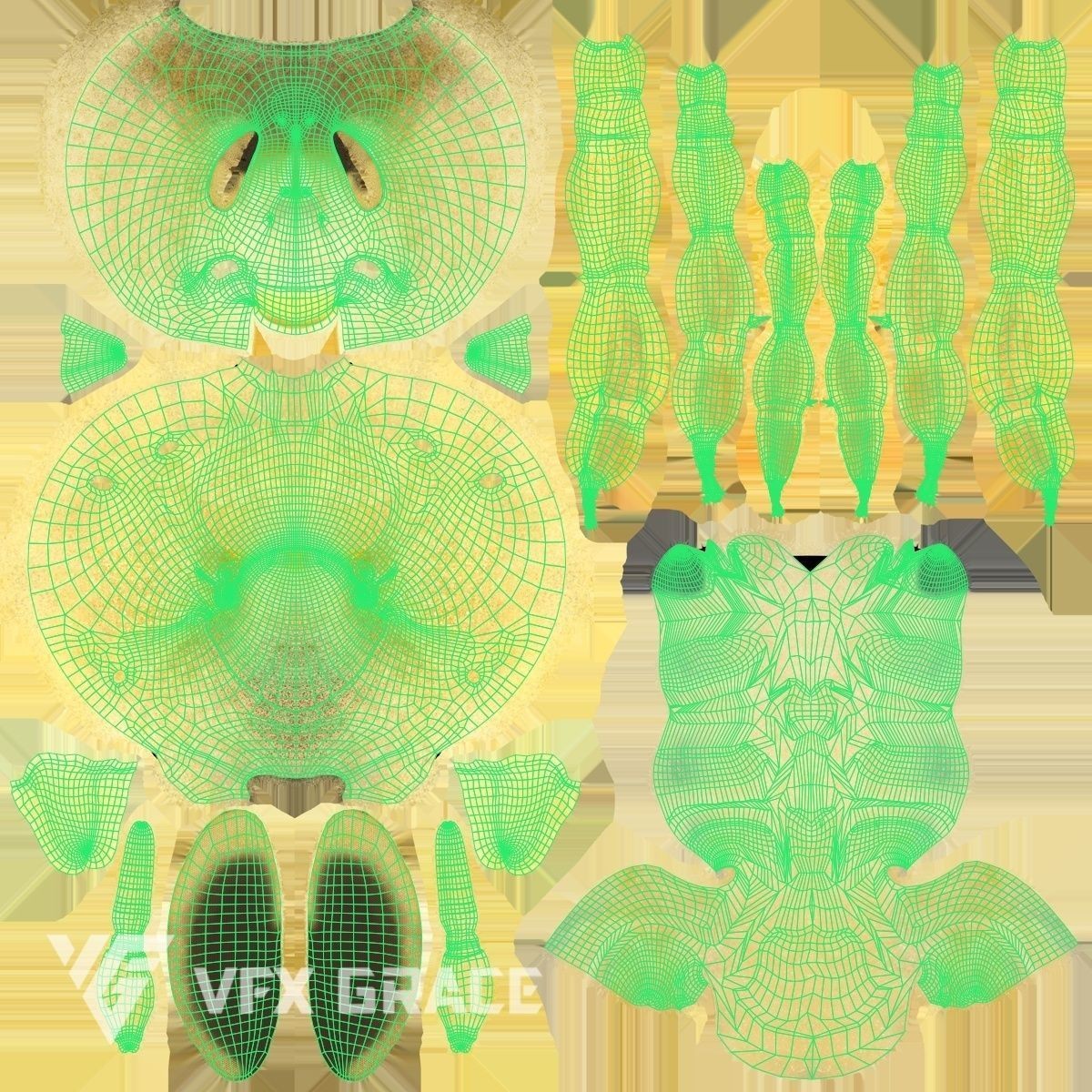 Honey Bee - Rigged Game-Ready 3D Model - View 19