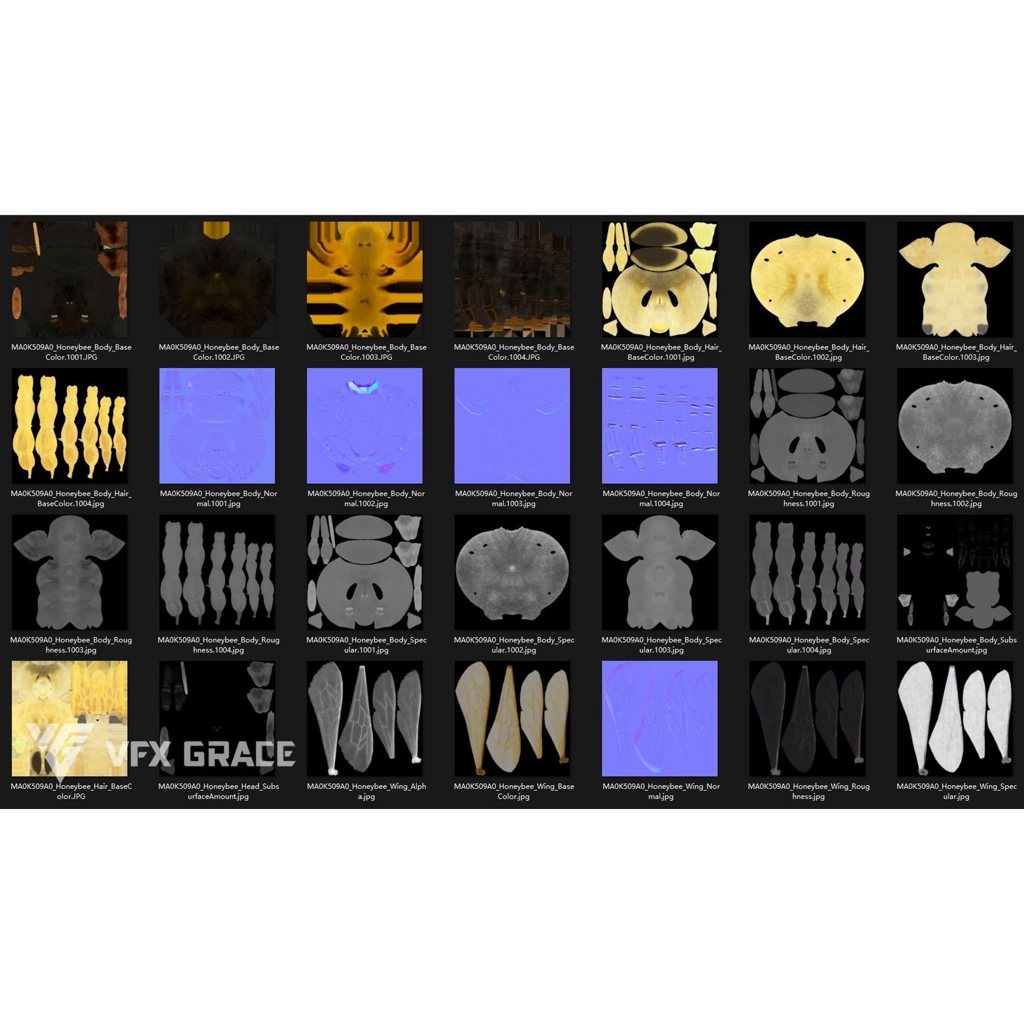 Honey Bee - Rigged Game-Ready 3D Model - View 21