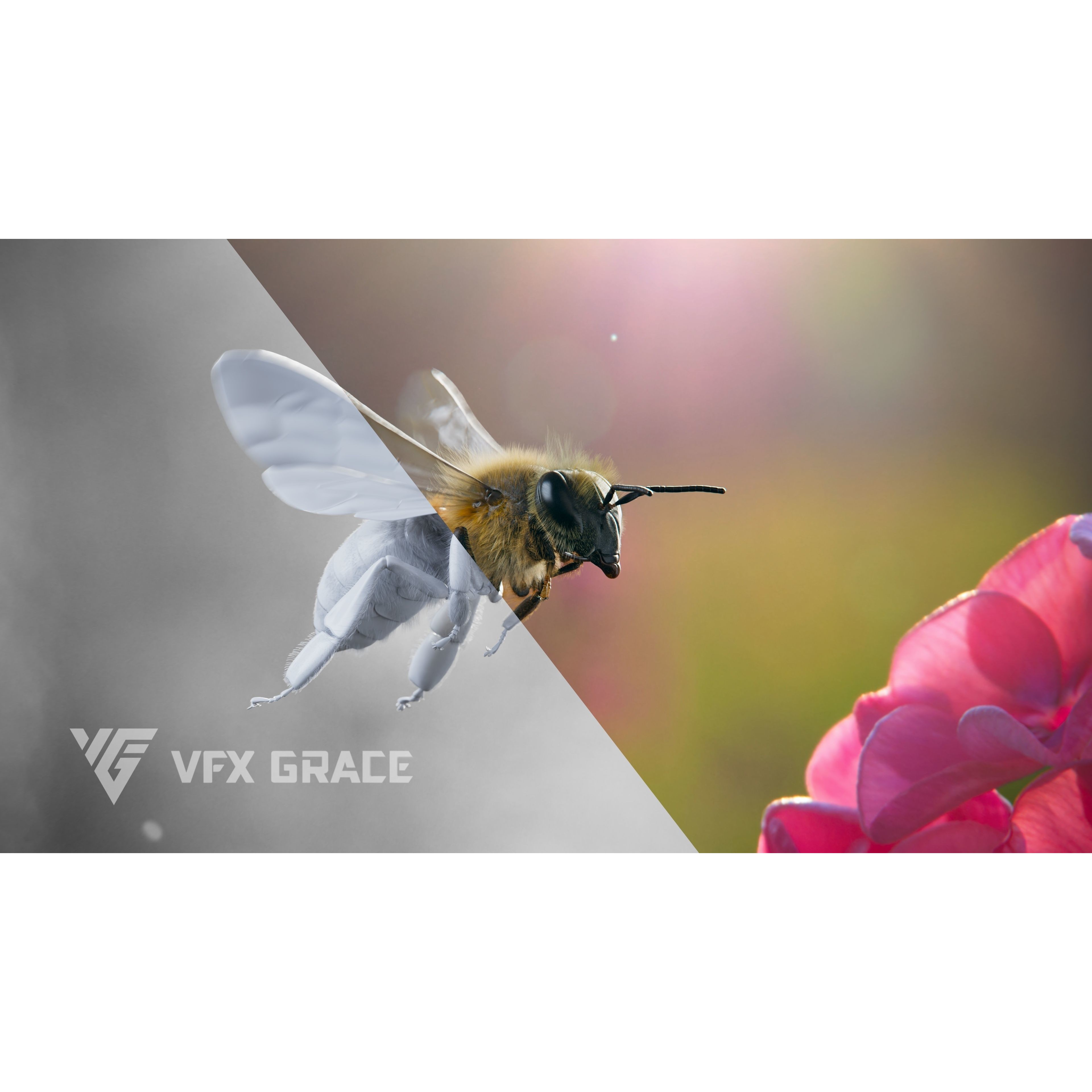 Honey Bee - Rigged Game-Ready 3D Model - View 4