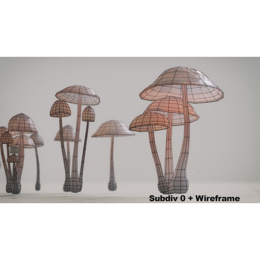 Psilocybe Mushroom 3D Model – Low Poly PBR Asset, FBX