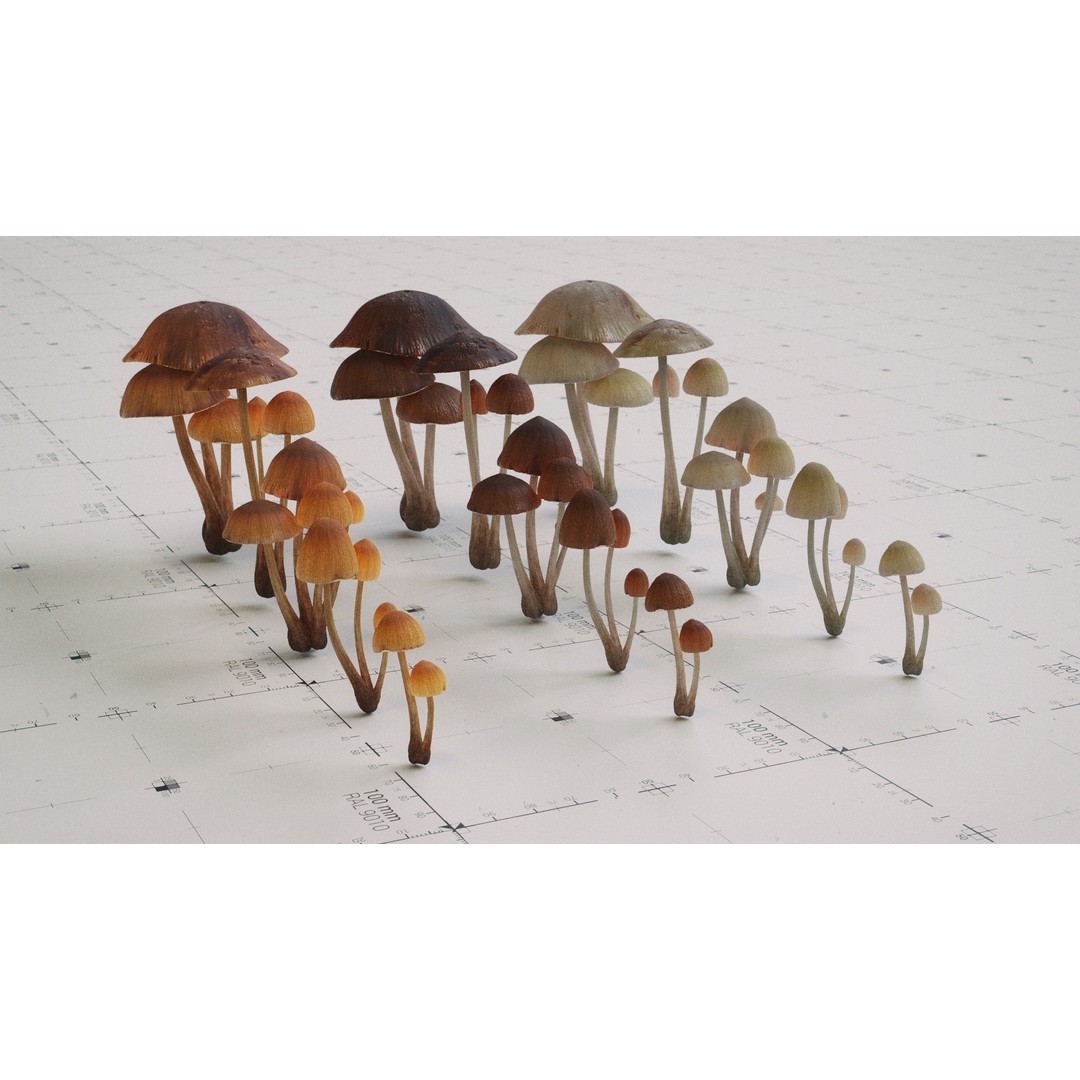 Psilocybe Mushroom 3D Model – Low Poly PBR Asset, FBX - View 10