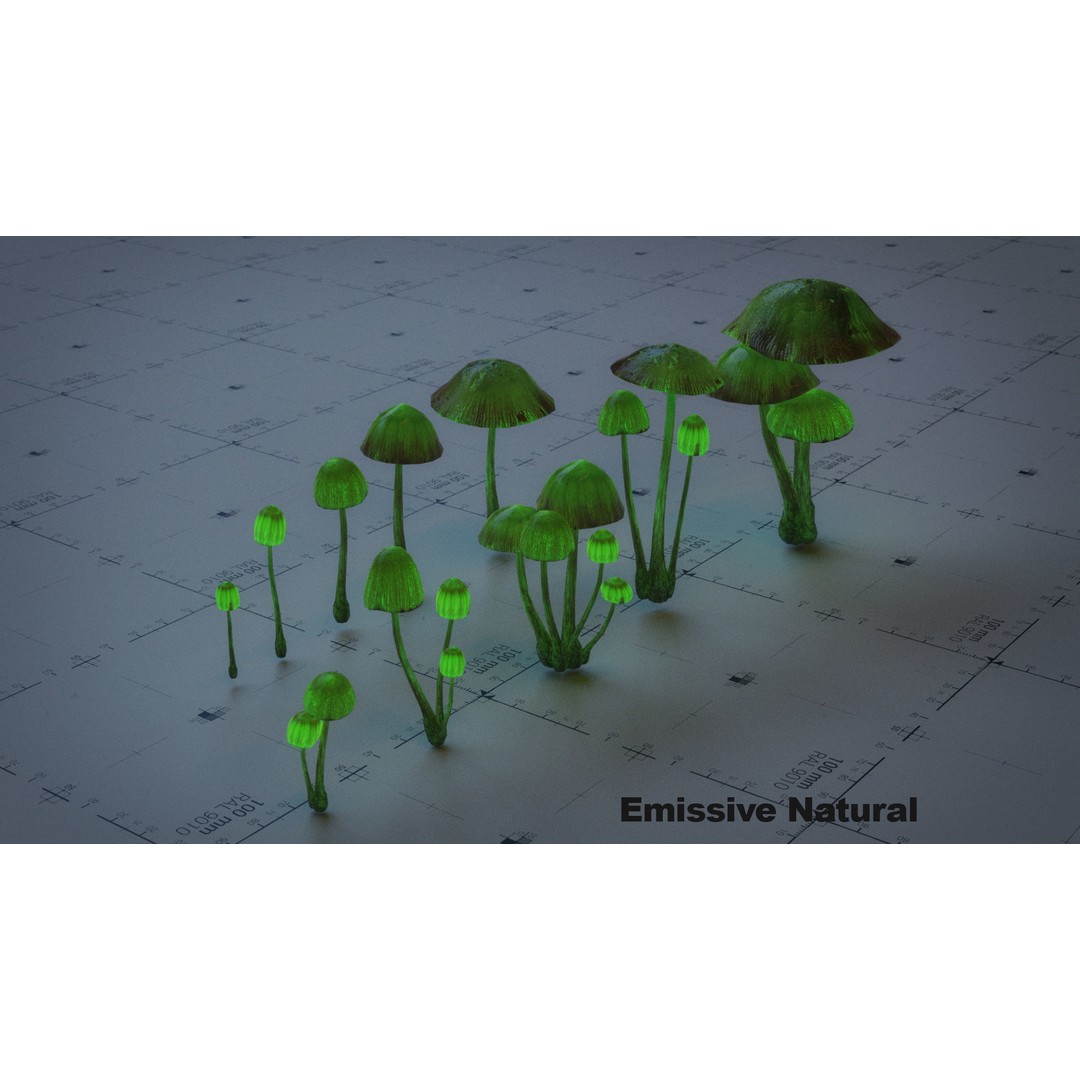 Psilocybe Mushroom 3D Model – Low Poly PBR Asset, FBX - View 12