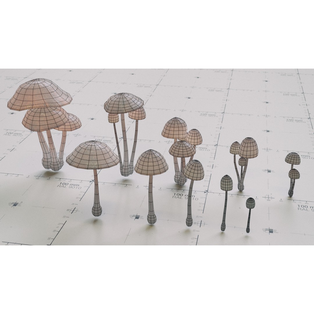 Psilocybe Mushroom 3D Model – Low Poly PBR Asset, FBX - View 16