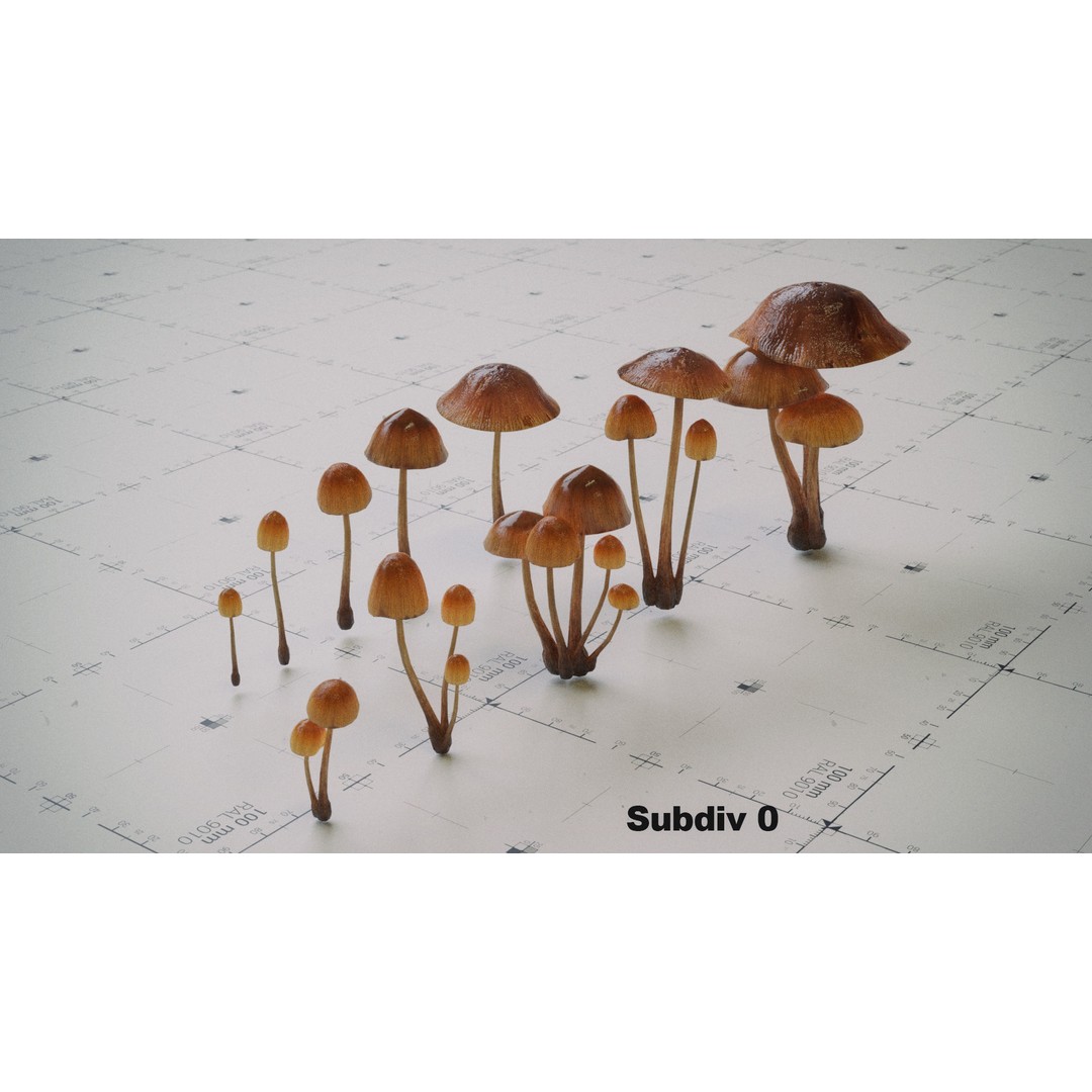 Psilocybe Mushroom 3D Model – Low Poly PBR Asset, FBX - View 4