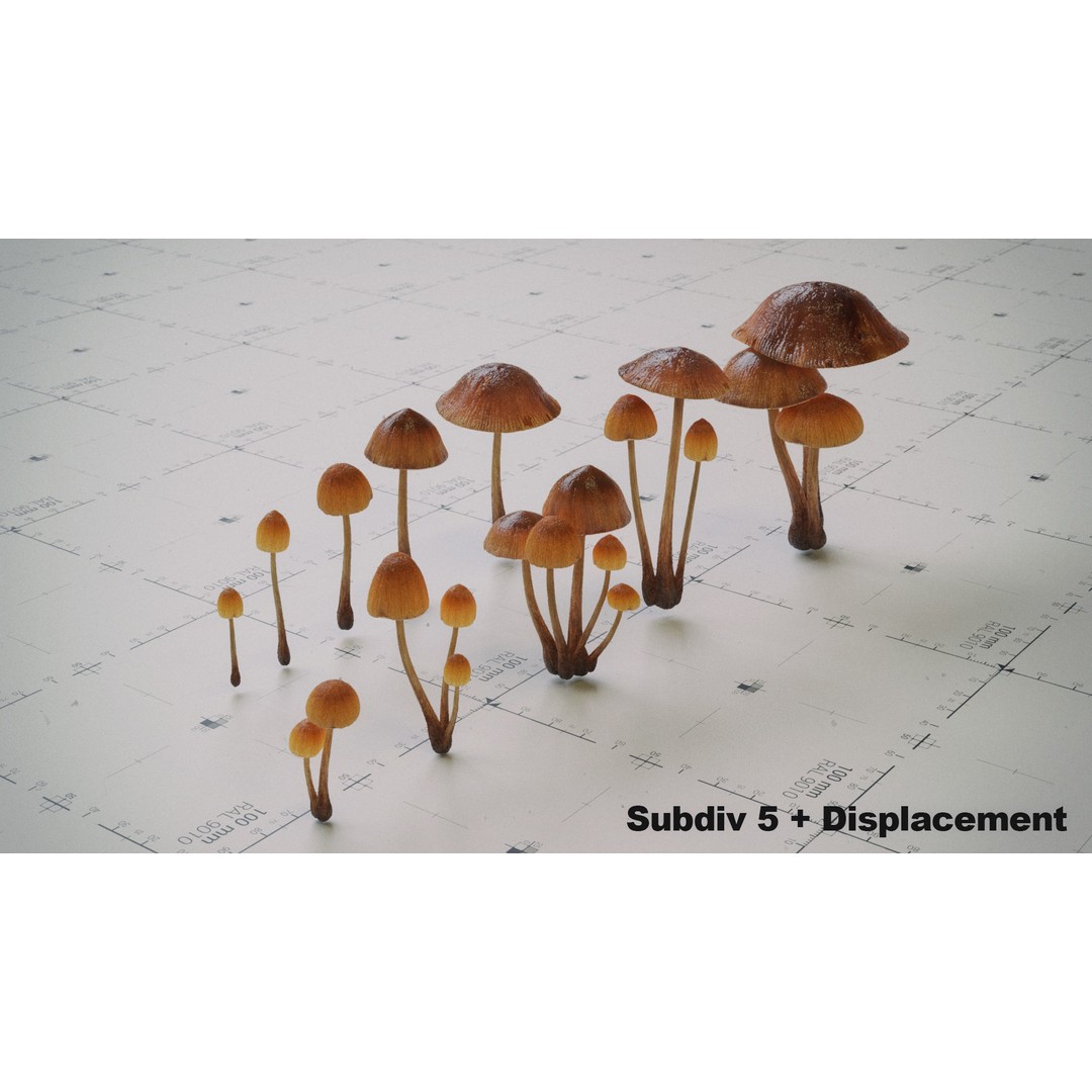 Psilocybe Mushroom 3D Model – Low Poly PBR Asset, FBX - View 5