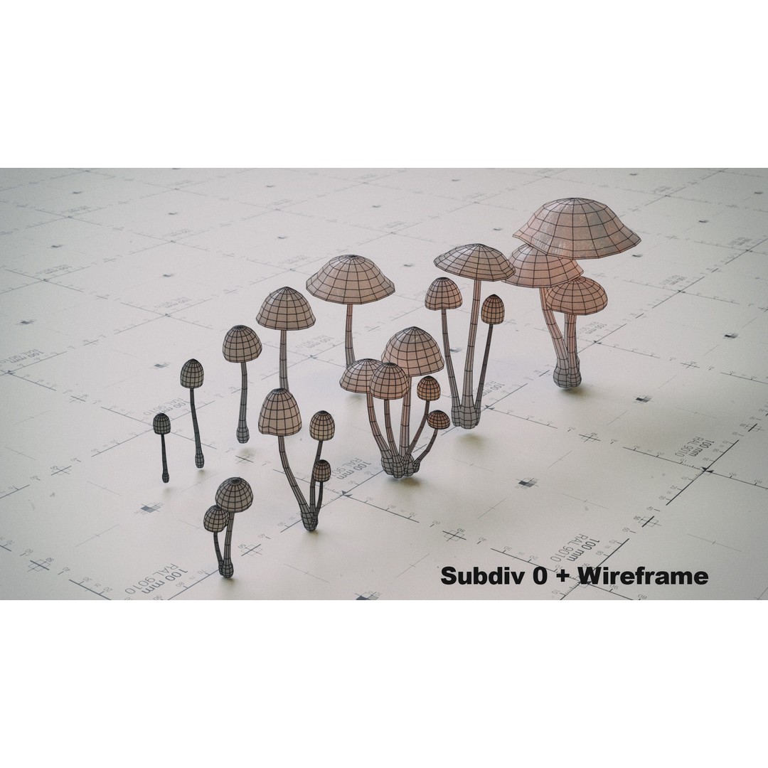 Psilocybe Mushroom 3D Model – Low Poly PBR Asset, FBX - View 6