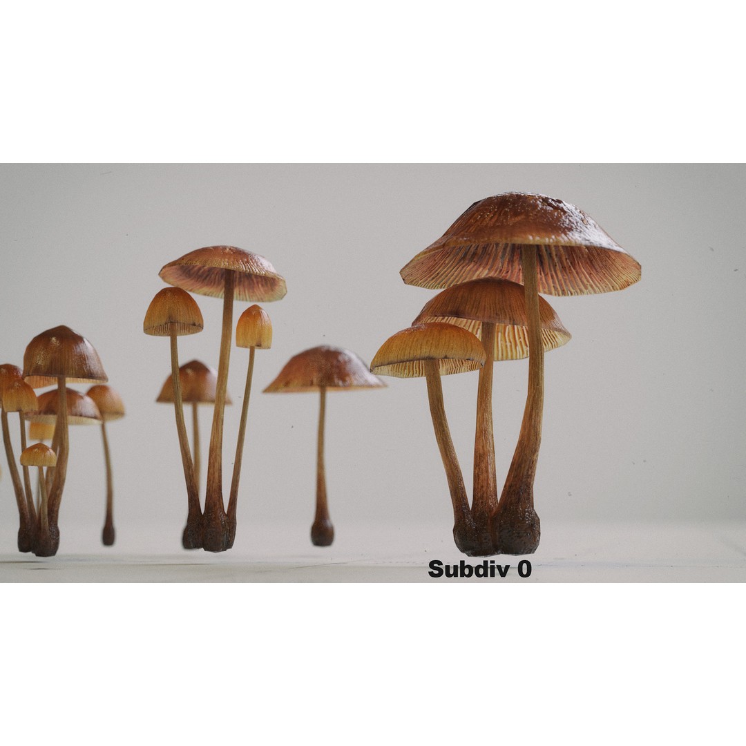 Psilocybe Mushroom 3D Model – Low Poly PBR Asset, FBX - View 7