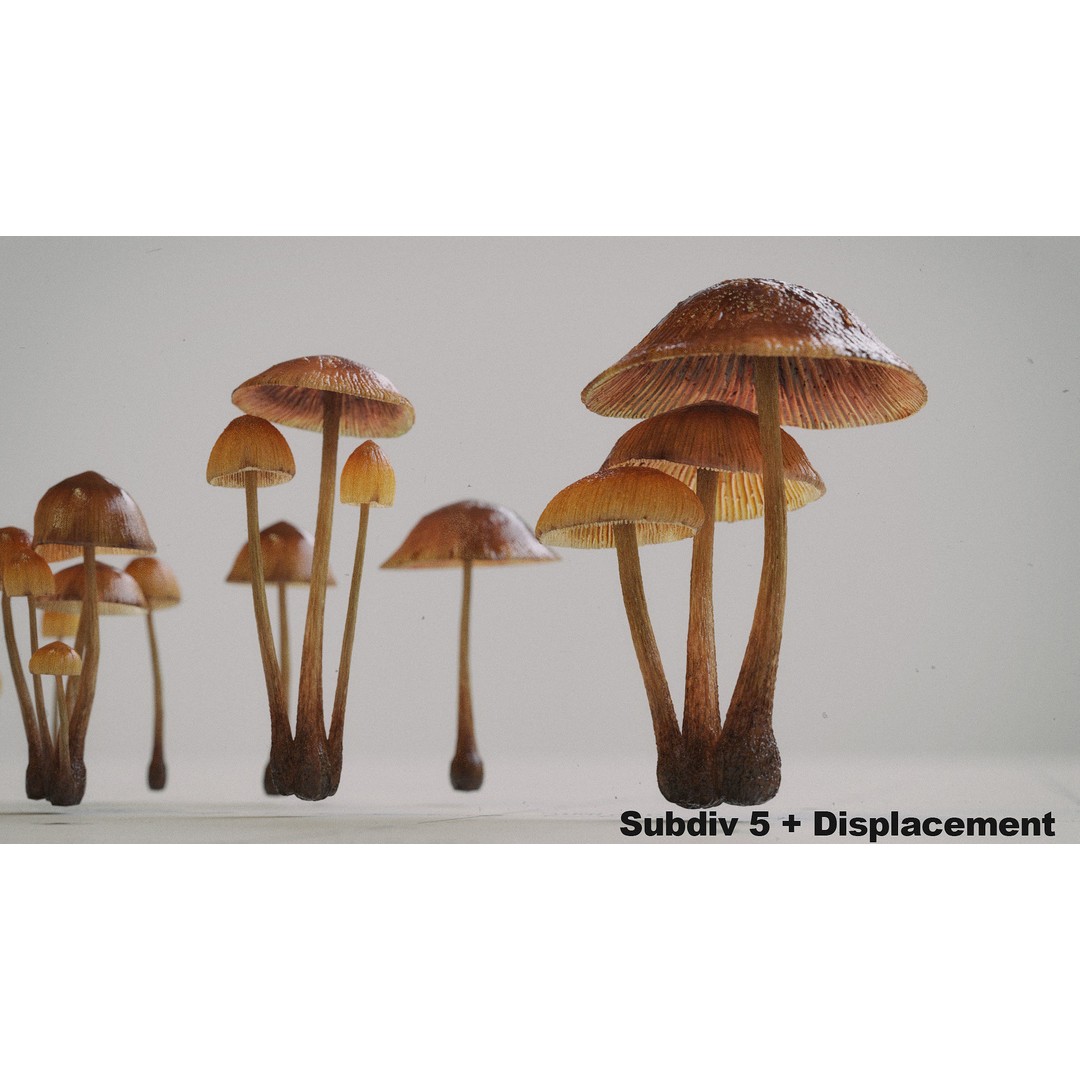 Psilocybe Mushroom 3D Model – Low Poly PBR Asset, FBX - View 8