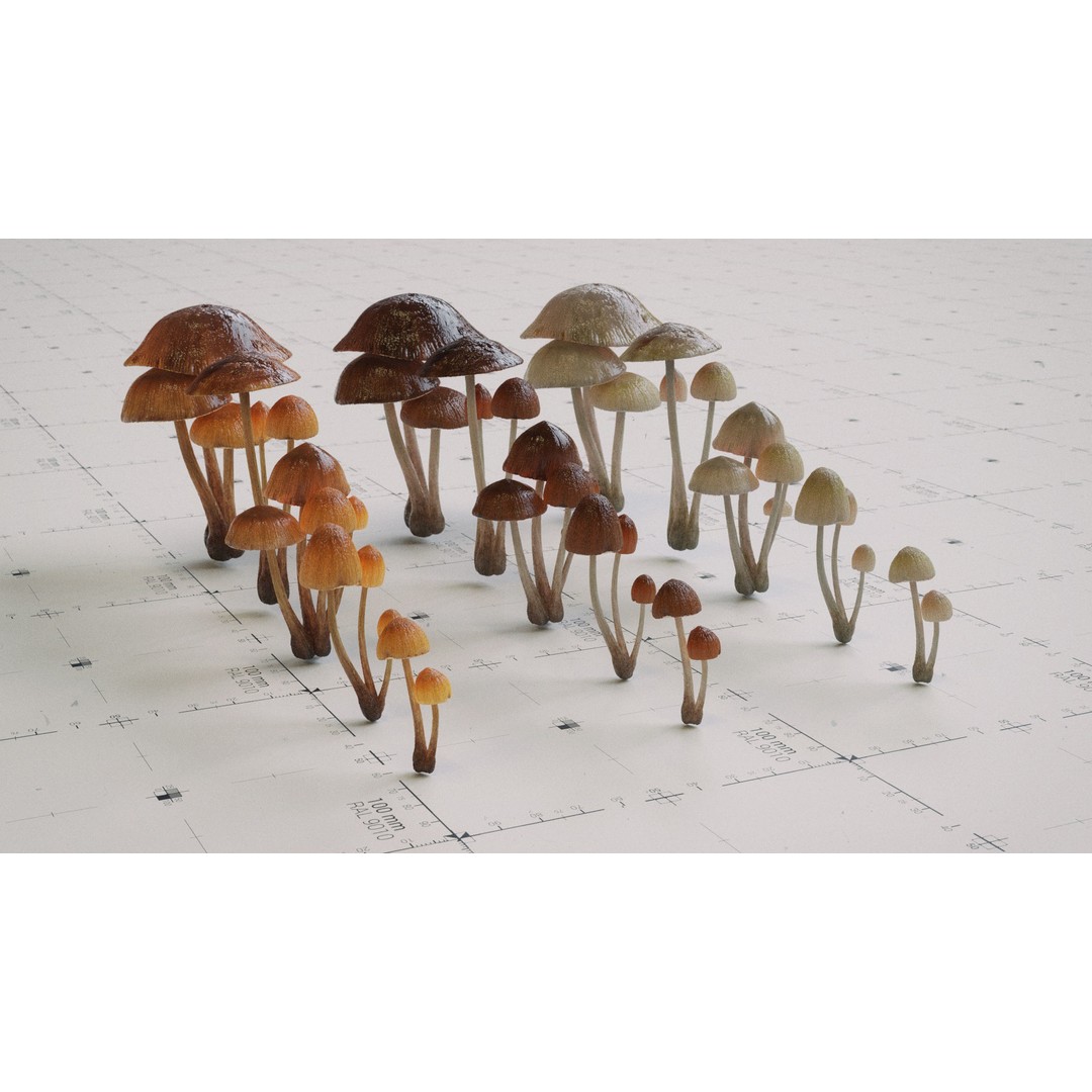 Psilocybe Mushroom 3D Model – Low Poly PBR Asset, FBX - View 9