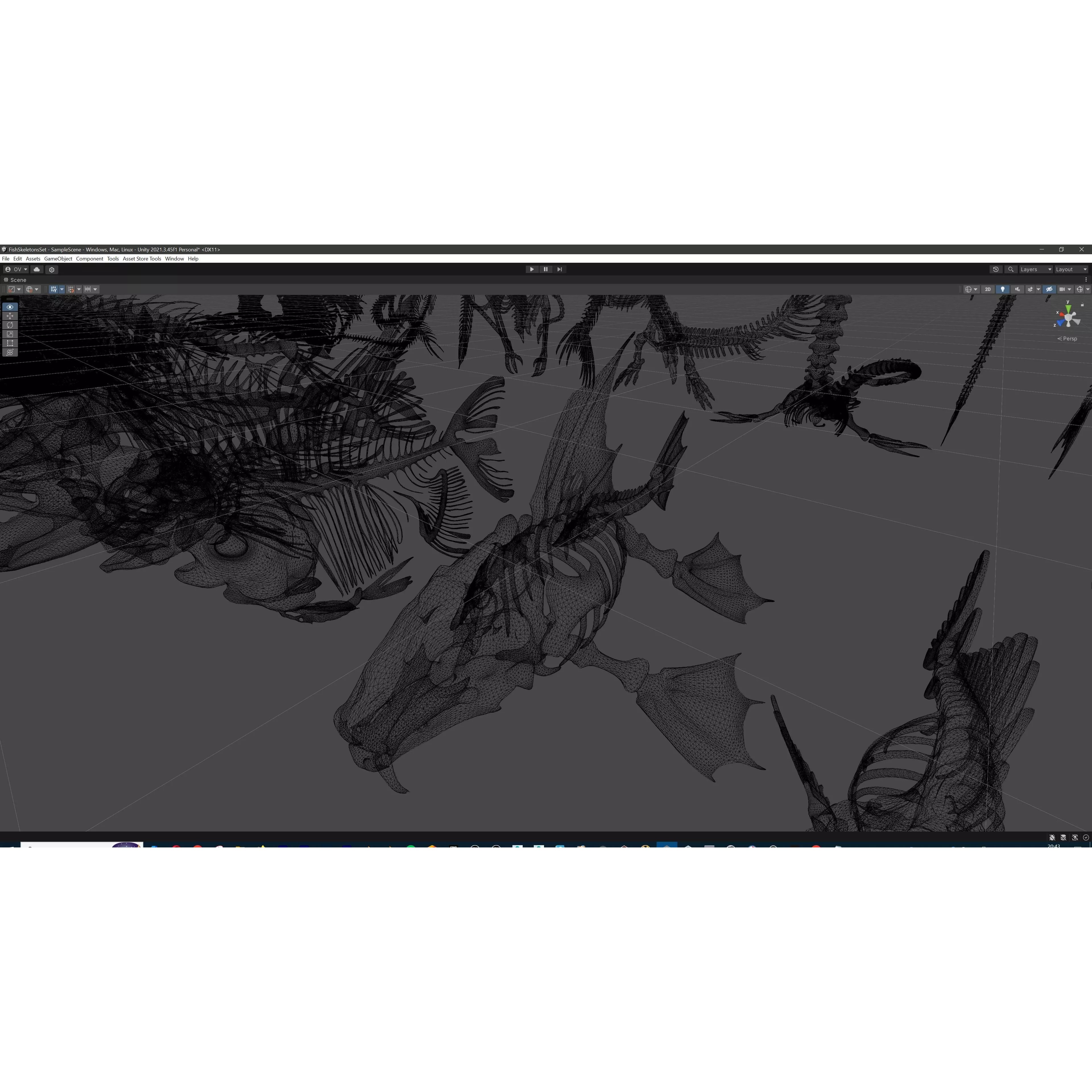 Fish and Underwater Creatures Skeleton Collection - Low-Poly 3D Model