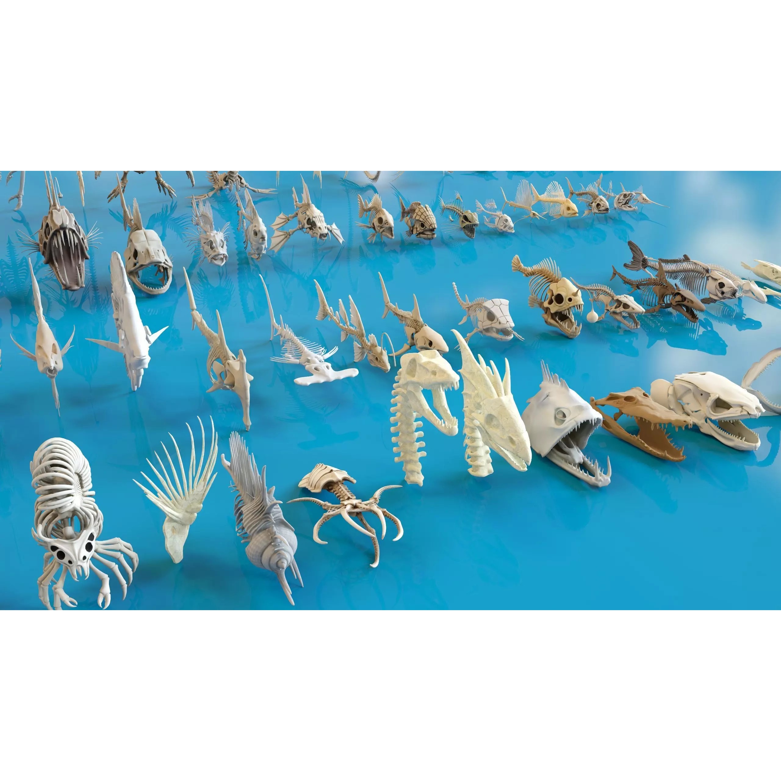 Fish and Underwater Creatures Skeleton Collection - Low-Poly 3D Model - View 10