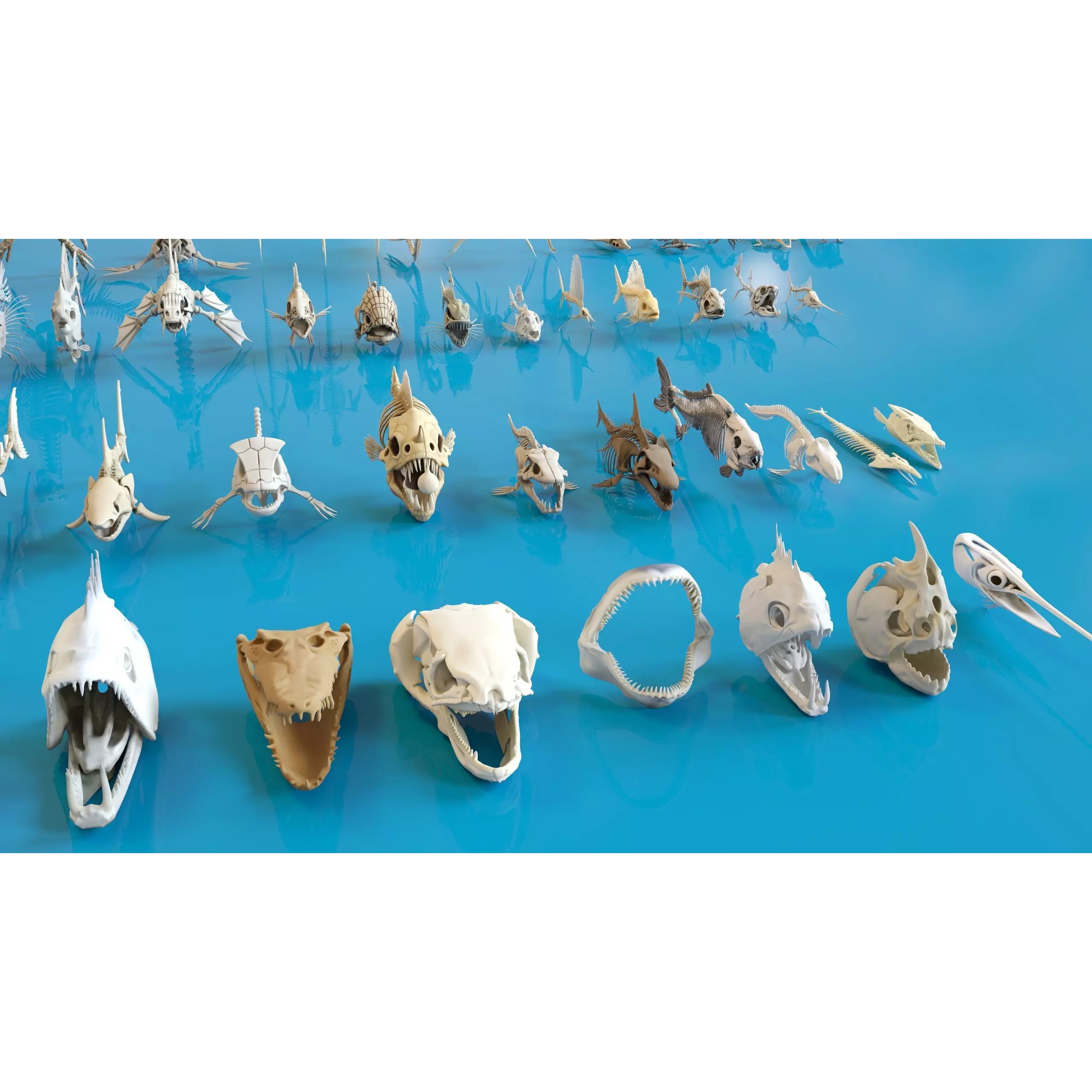 Fish and Underwater Creatures Skeleton Collection - Low-Poly 3D Model - View 11