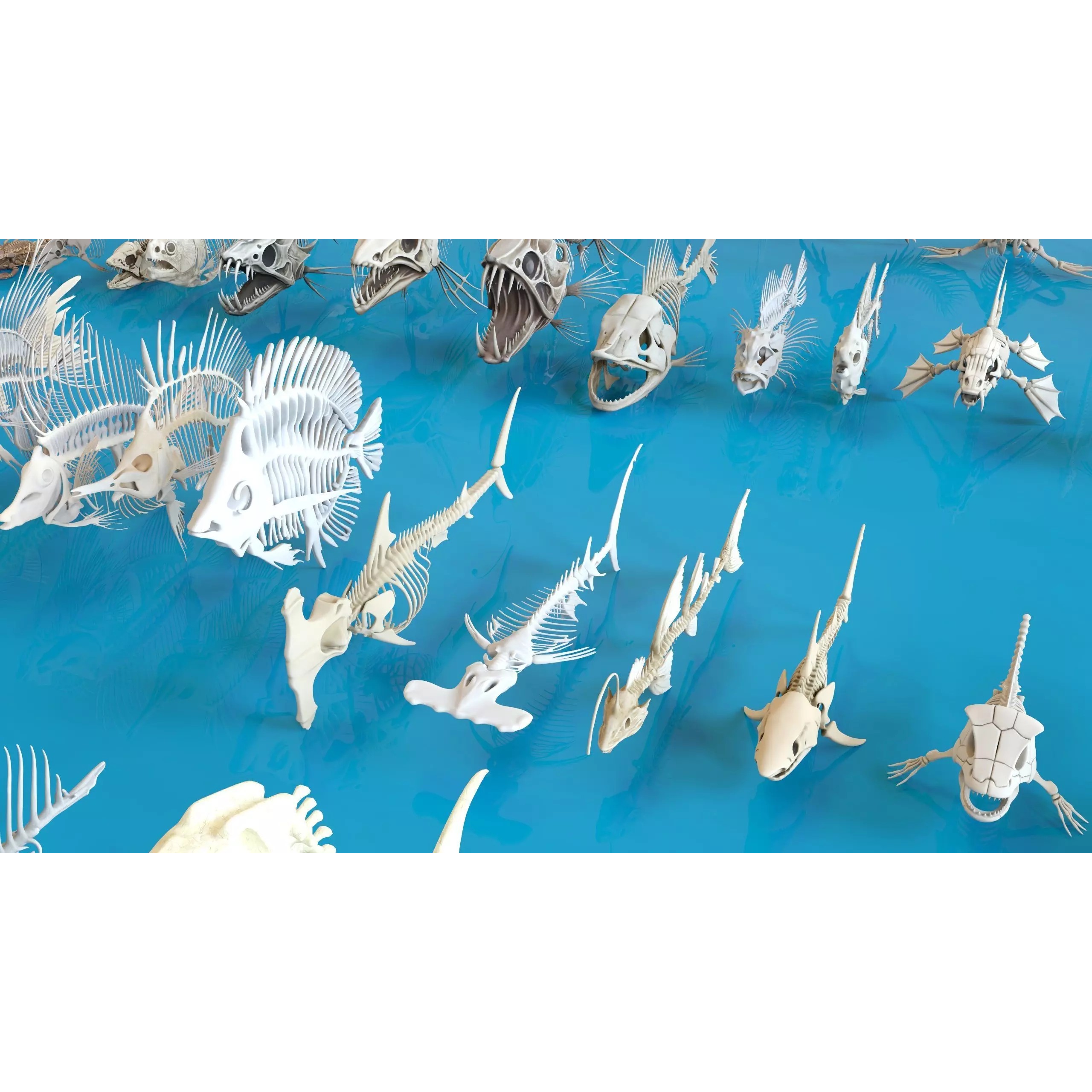 Fish and Underwater Creatures Skeleton Collection - Low-Poly 3D Model - View 13