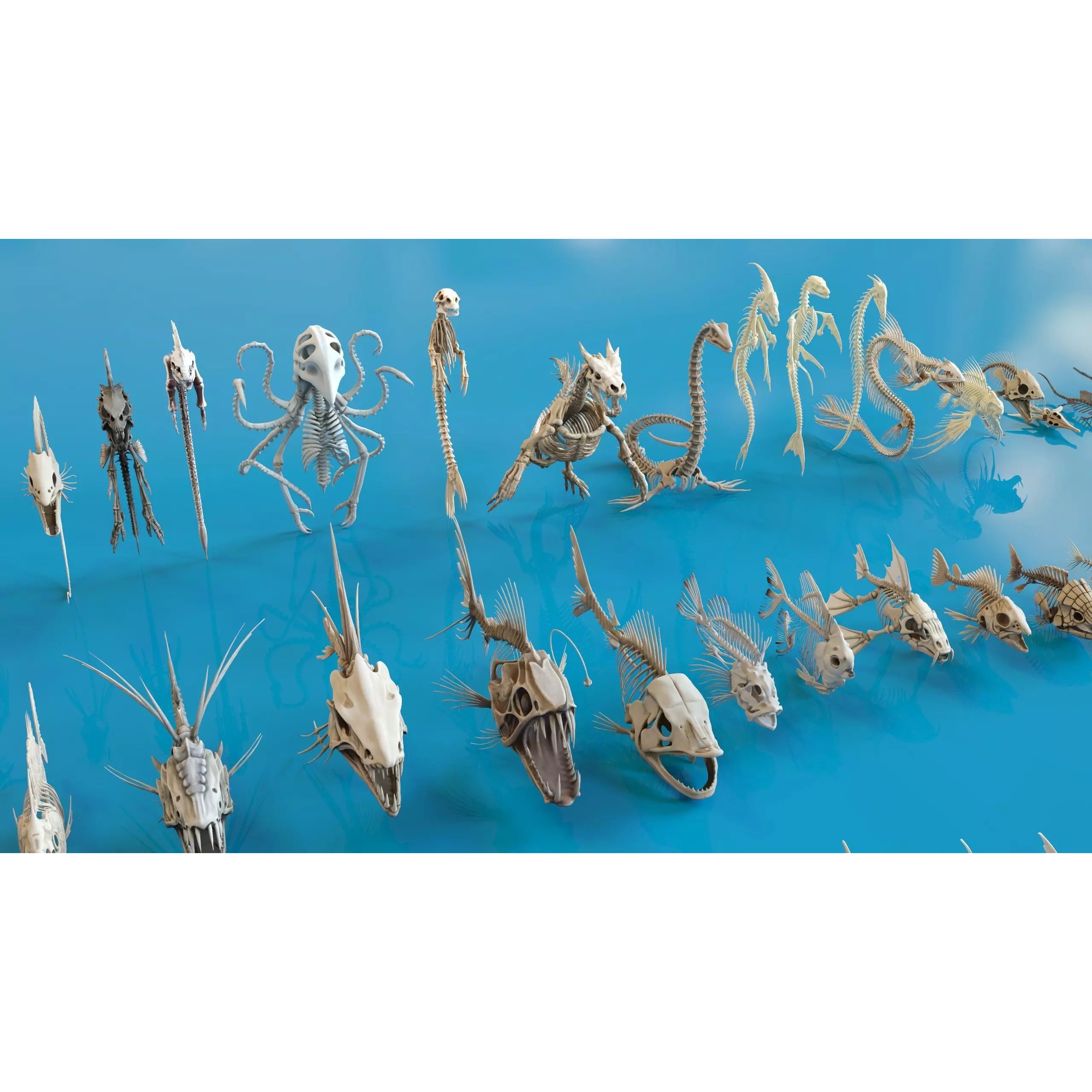 Fish and Underwater Creatures Skeleton Collection - Low-Poly 3D Model - View 18