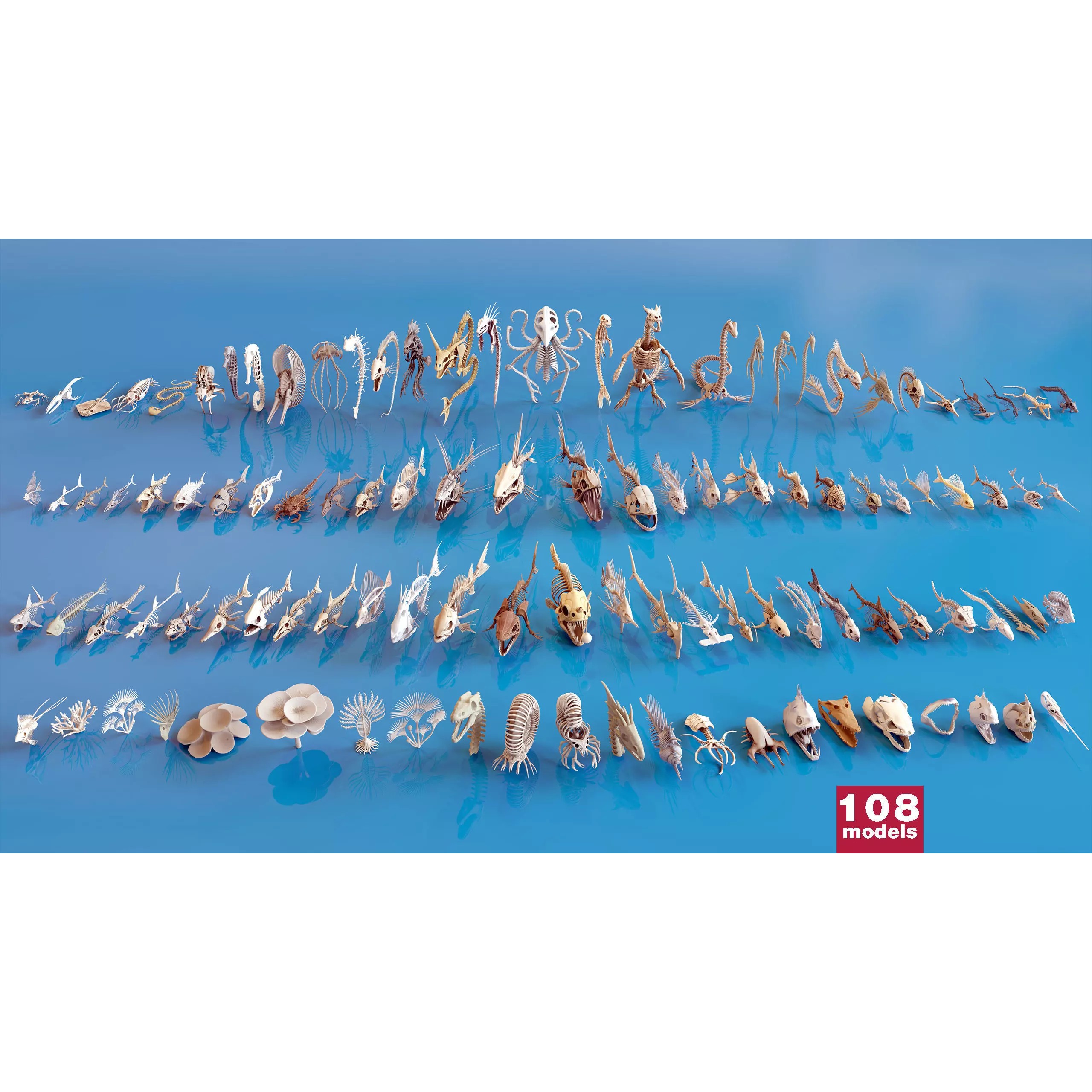 Fish and Underwater Creatures Skeleton Collection - Low-Poly 3D Model - View 2